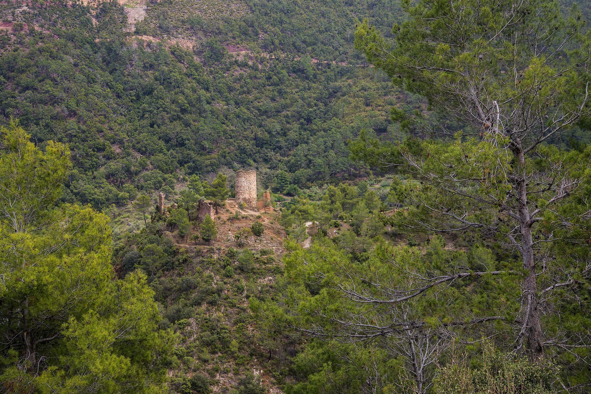 Parque Natural de la Sierra de Espadán