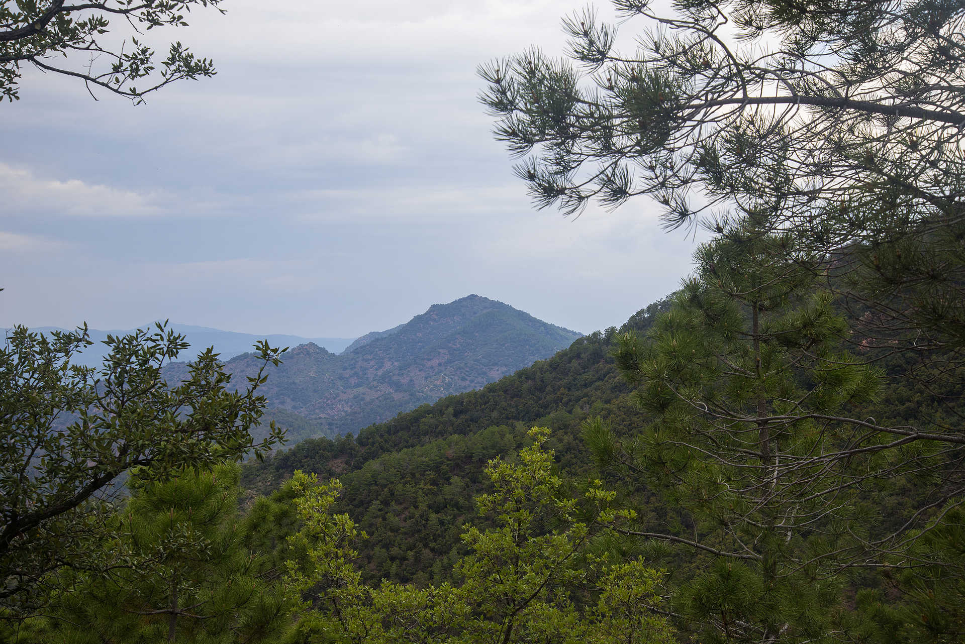 Naturpark de la Sierra de Espadán