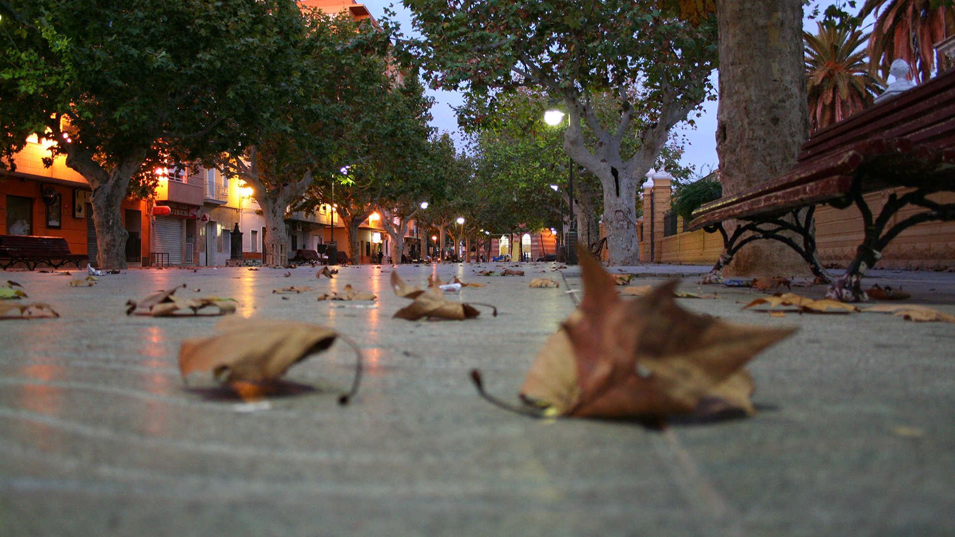 Carlet