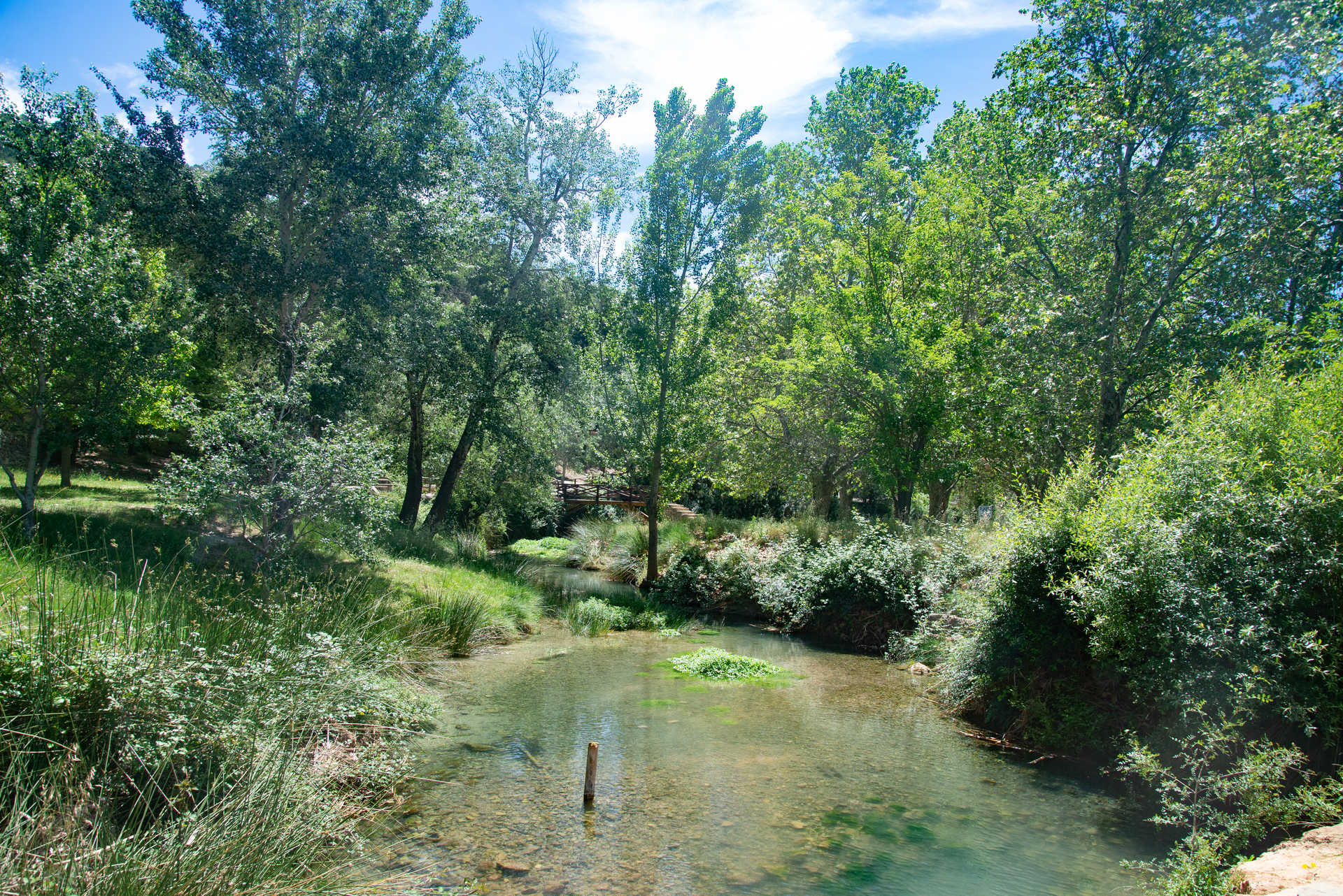 Tuéjar