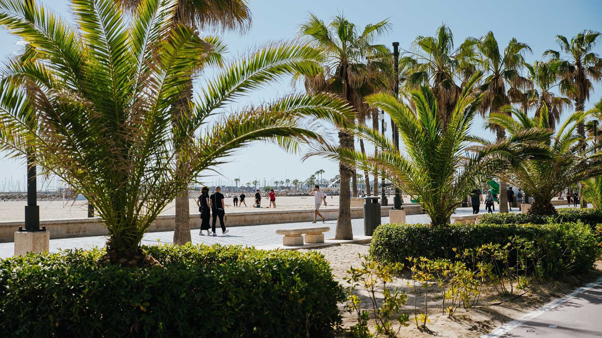 Playa La Malvarrosa