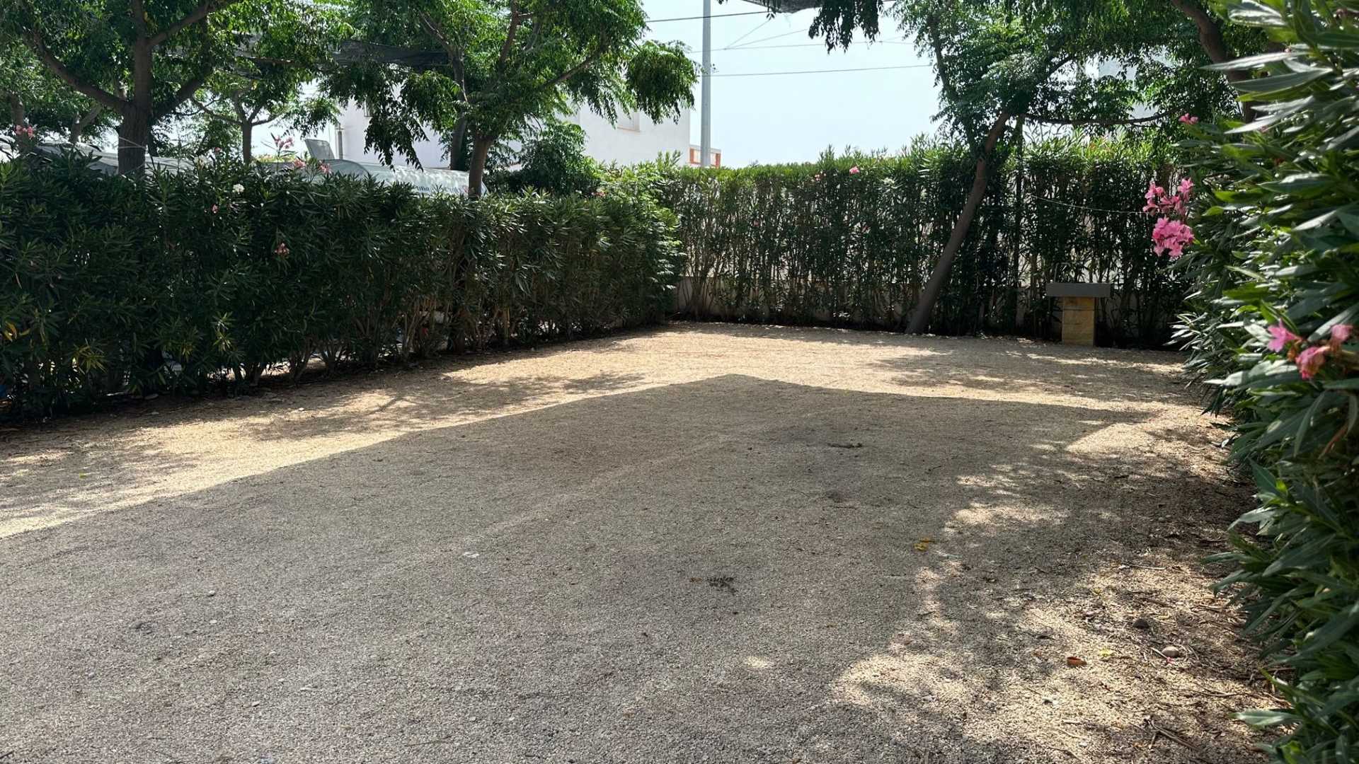 ALEGRIA DEL MAR
