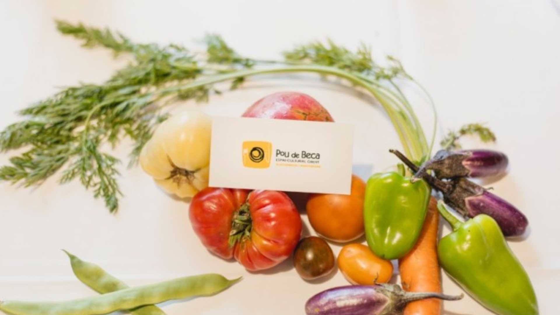 POU DE BECA ALLOTJAMENTS I AGROTURISME