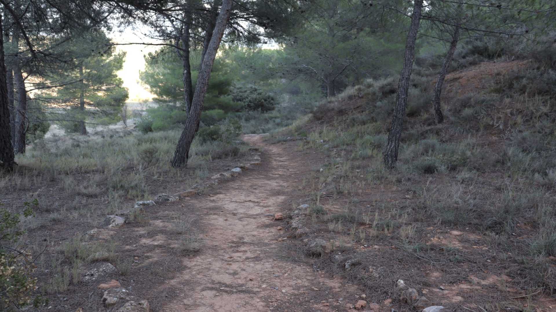 Sendero Botánico de La Loma del Montecillo