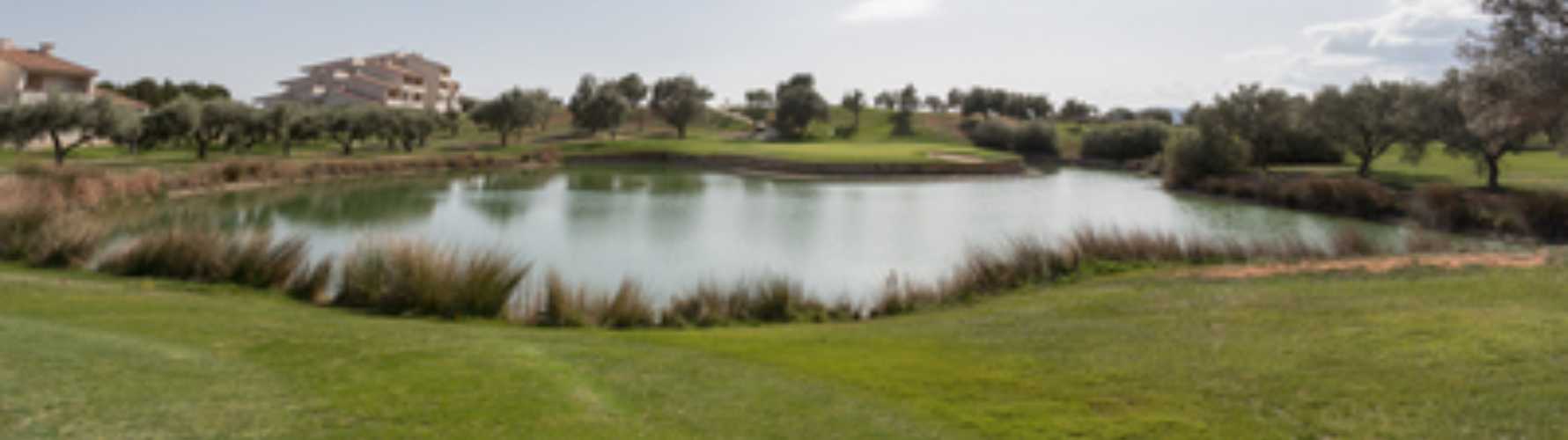 panoramica golf