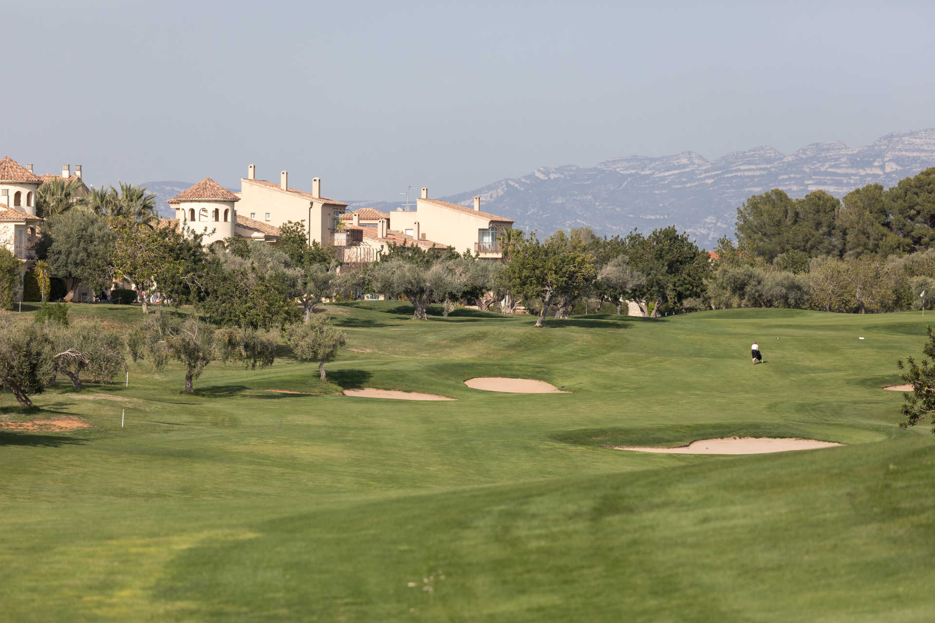 turniere panoramica golf