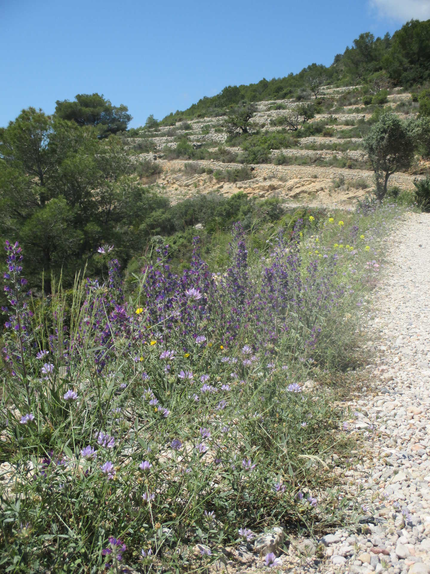 Sierra de Irta natural park