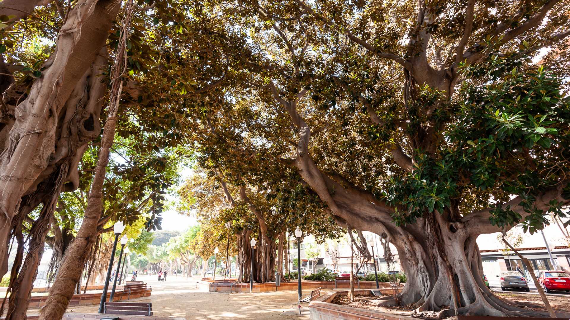 Parque de Canalejas