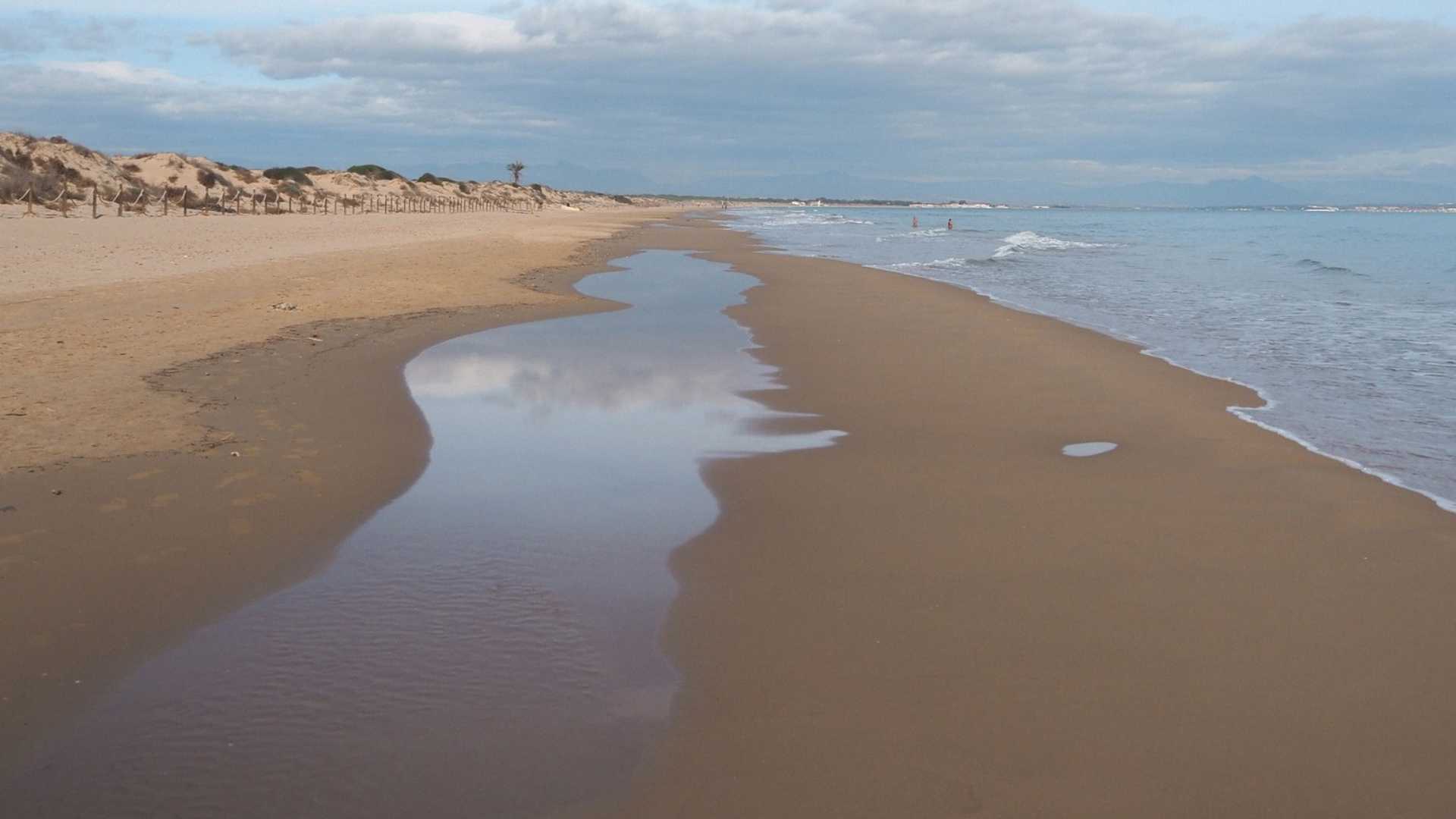 Guardamar del Segura PLAYA LOS TUSALES
