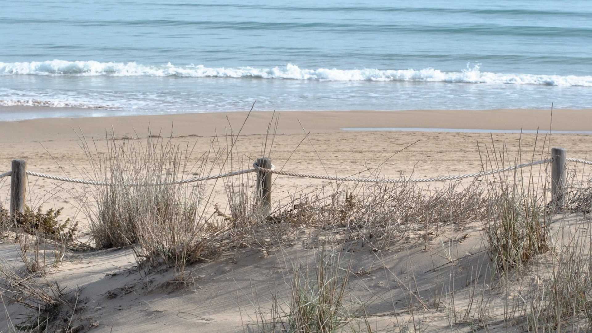 Guardamar del Segura PLAYA LOS TUSALES