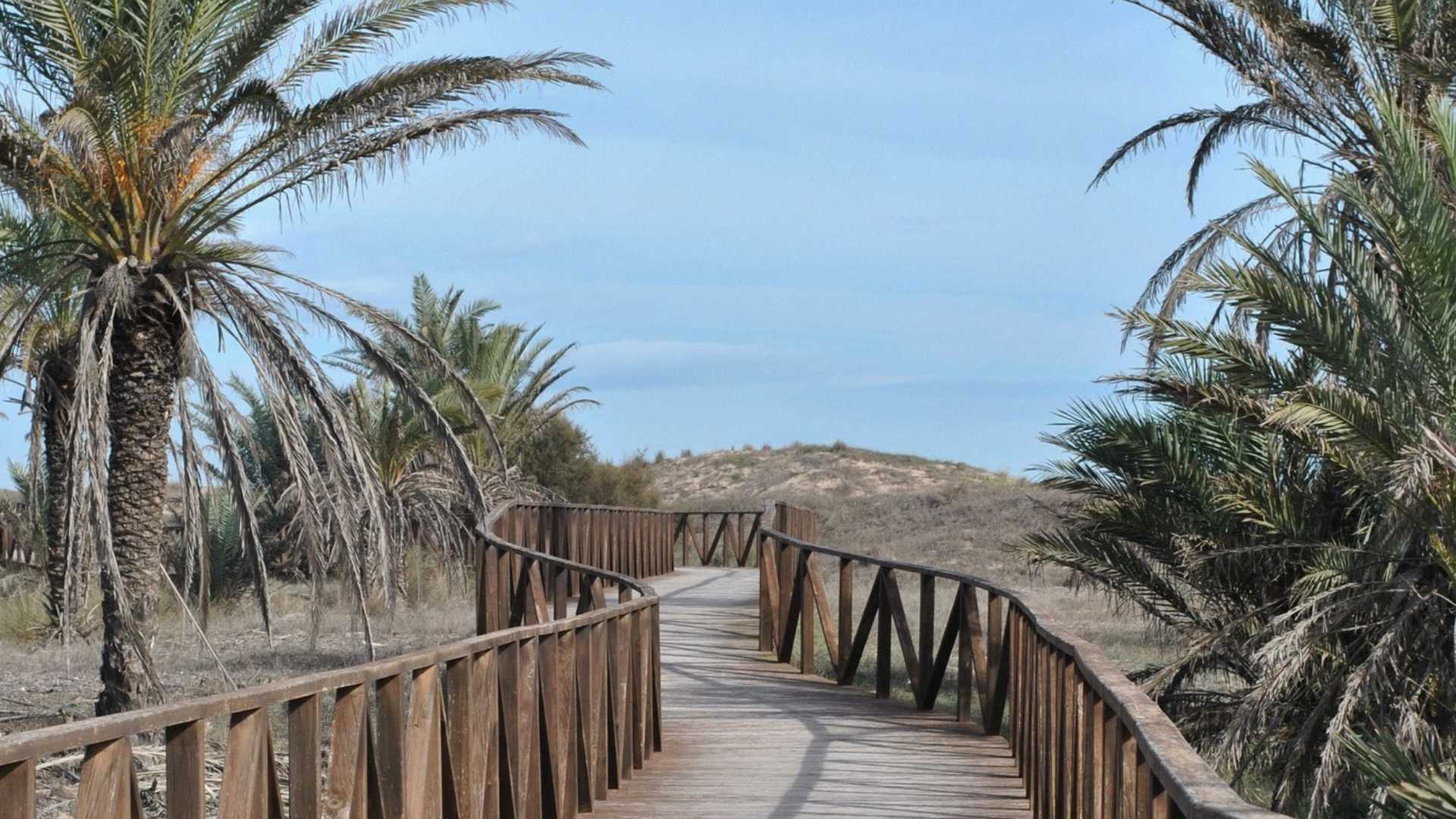 Guardamar del Segura PLAYA LOS TUSALES