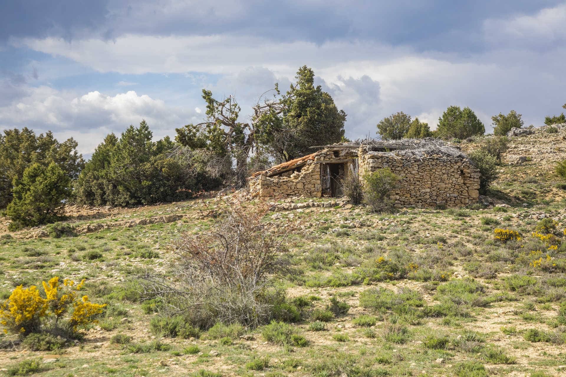 Naturpark Puebla de San Miguel