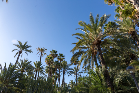 Escuela de golf Elche - Image 1