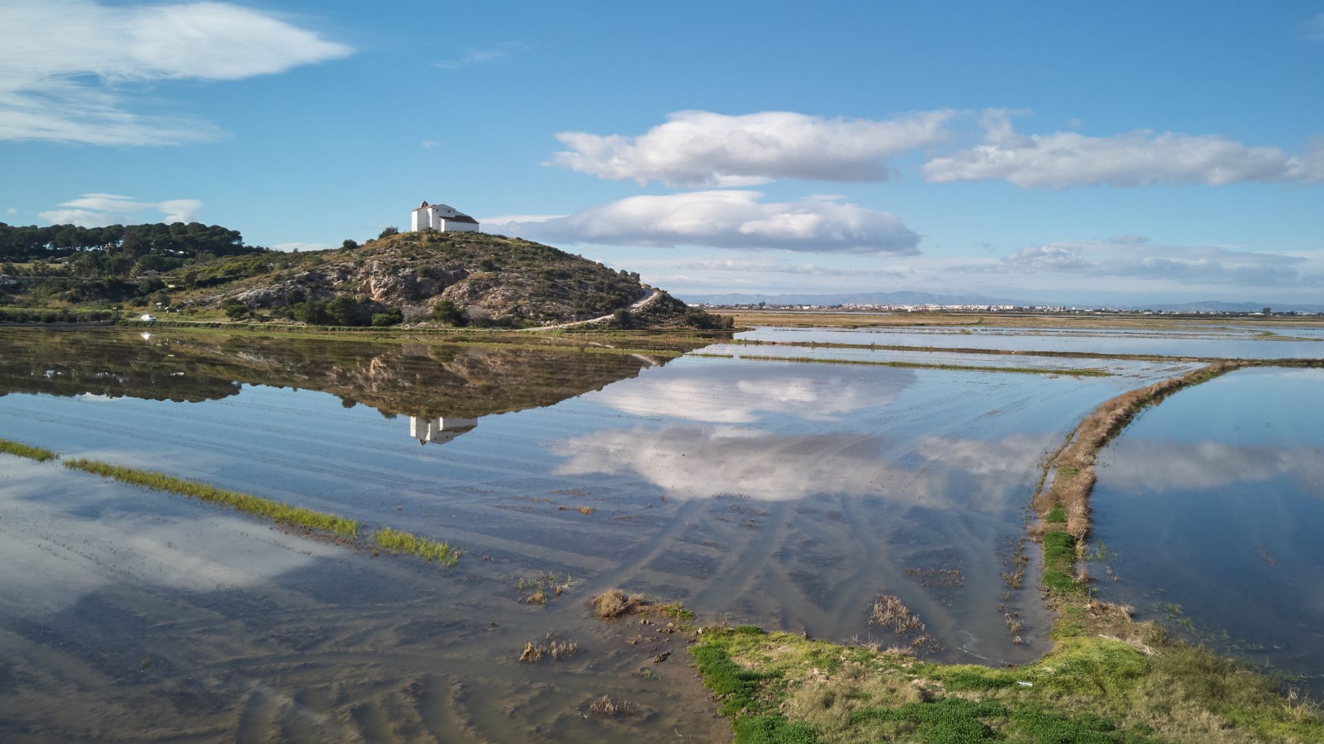 albufera valencia arrozales,