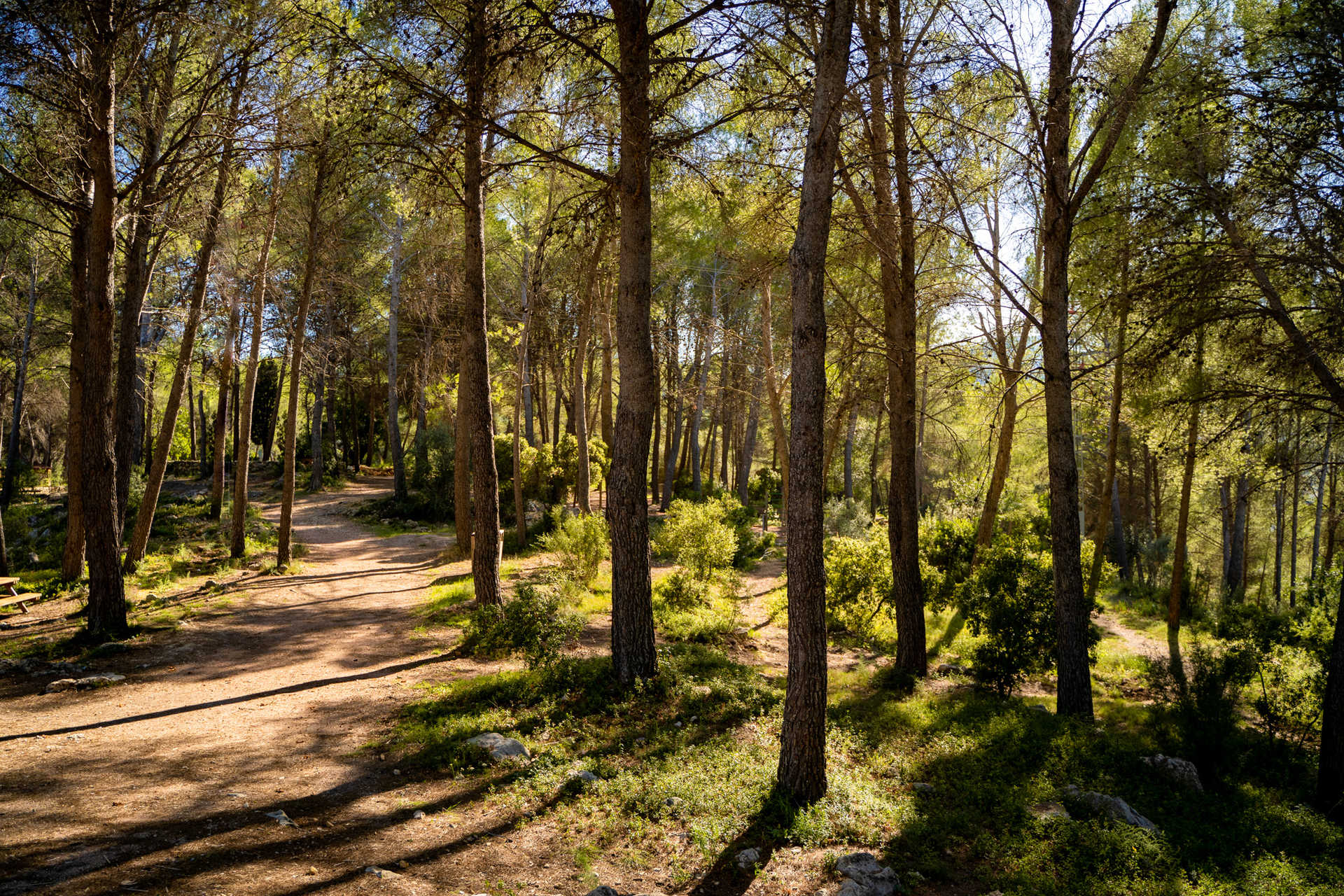 Parque Botánico El Tossalet - Xaló