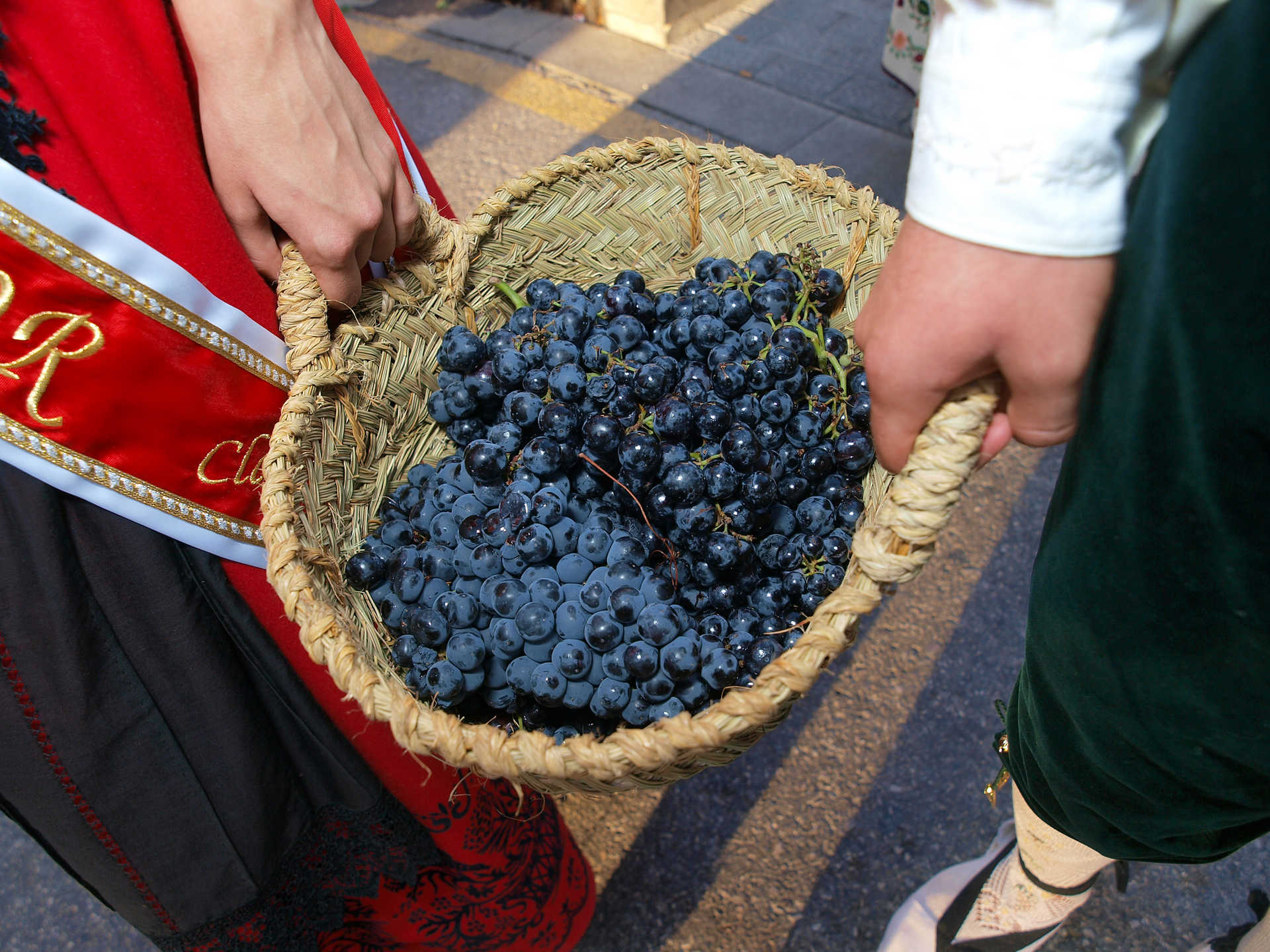 Feria y Fiesta de la Vendimia de Requena