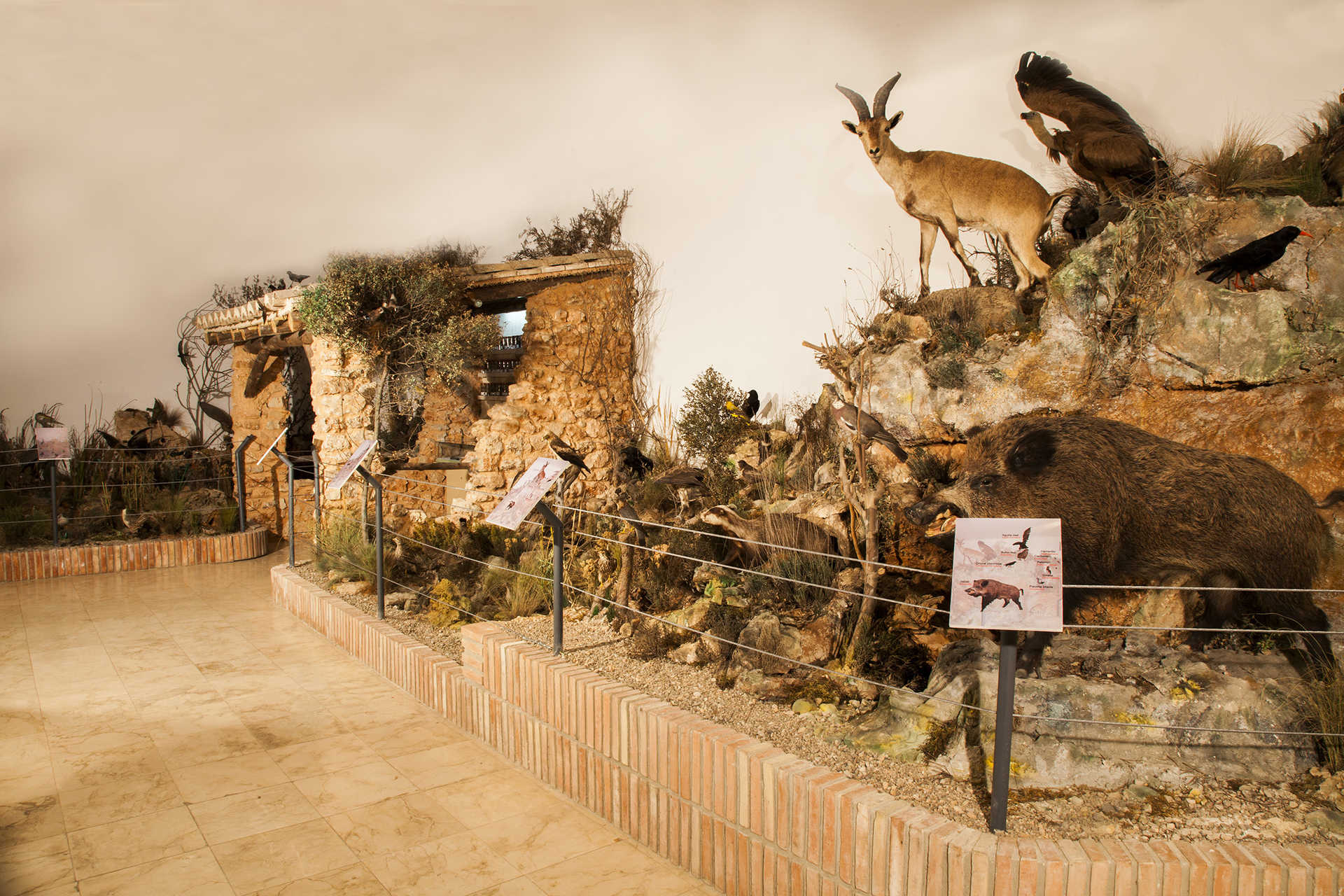 Museo Municipal de Requena