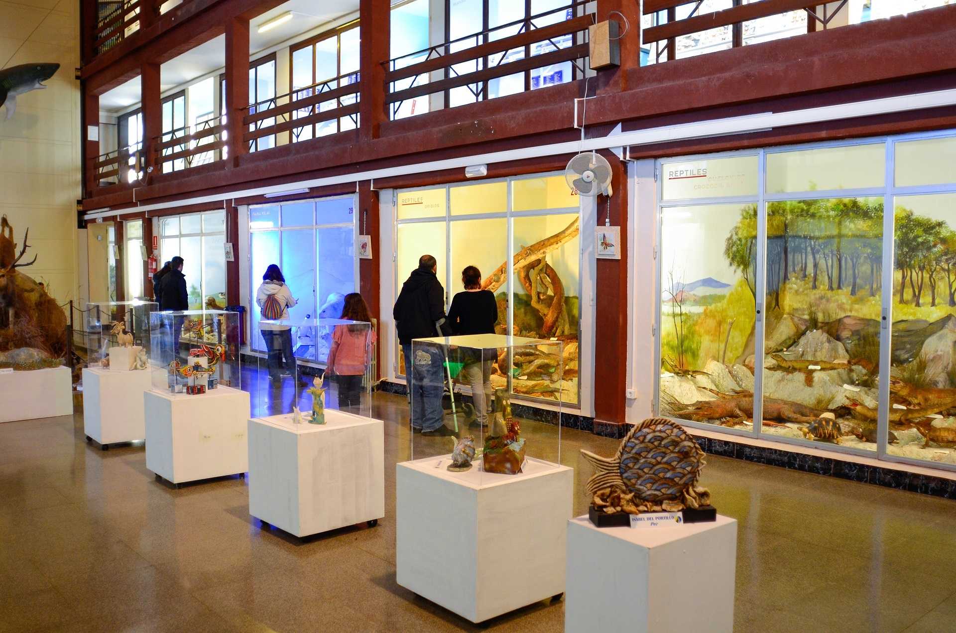 Museo de Ciencias Naturales El Carmen