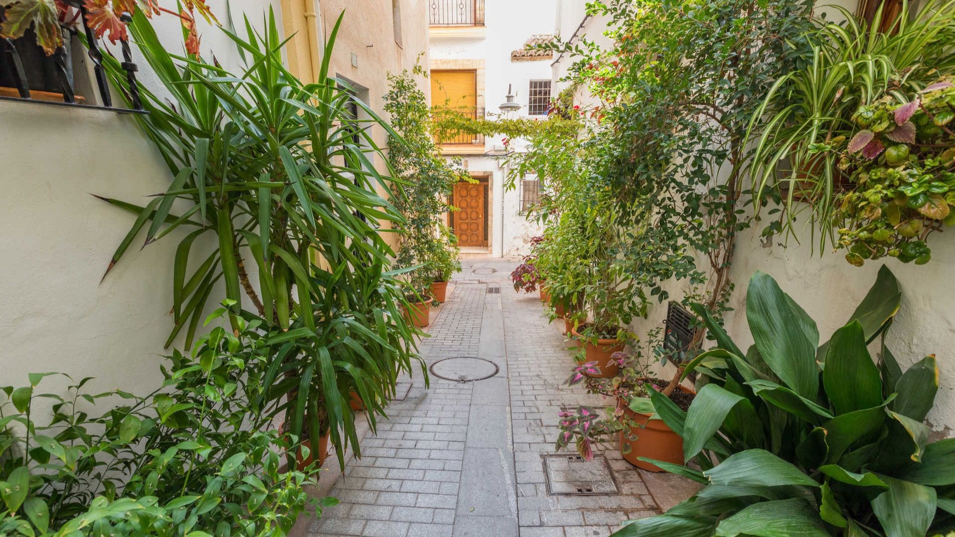 javea alicante,