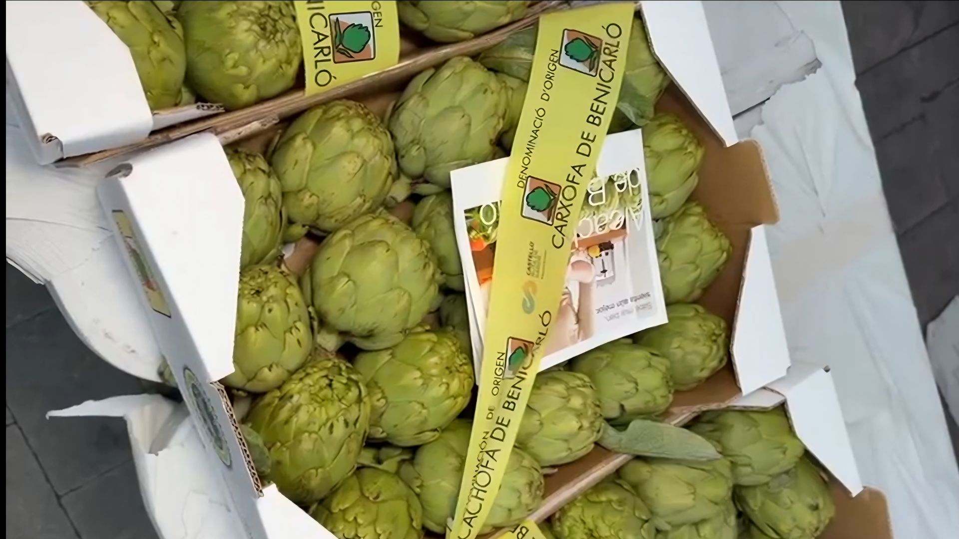 carxofa de Benicarló temporada,