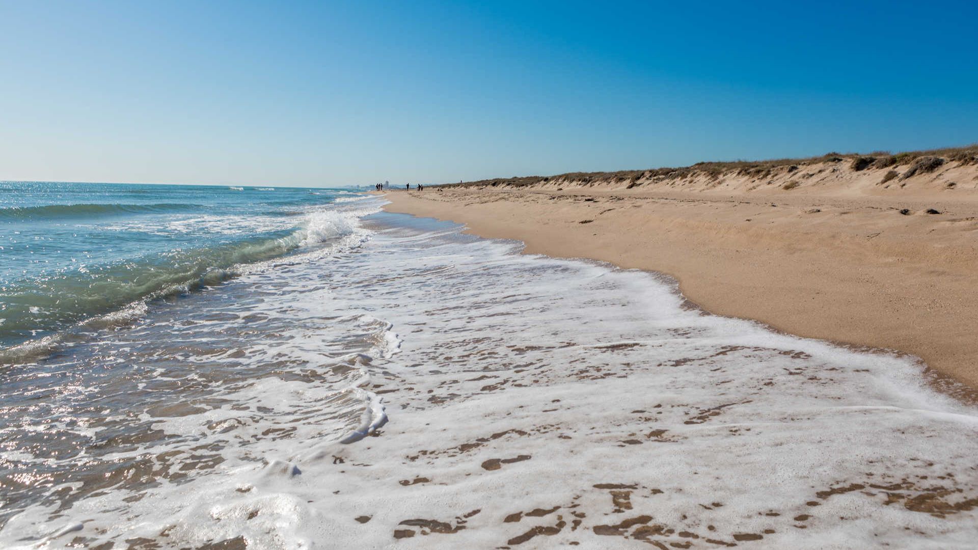 Playa de El Saler