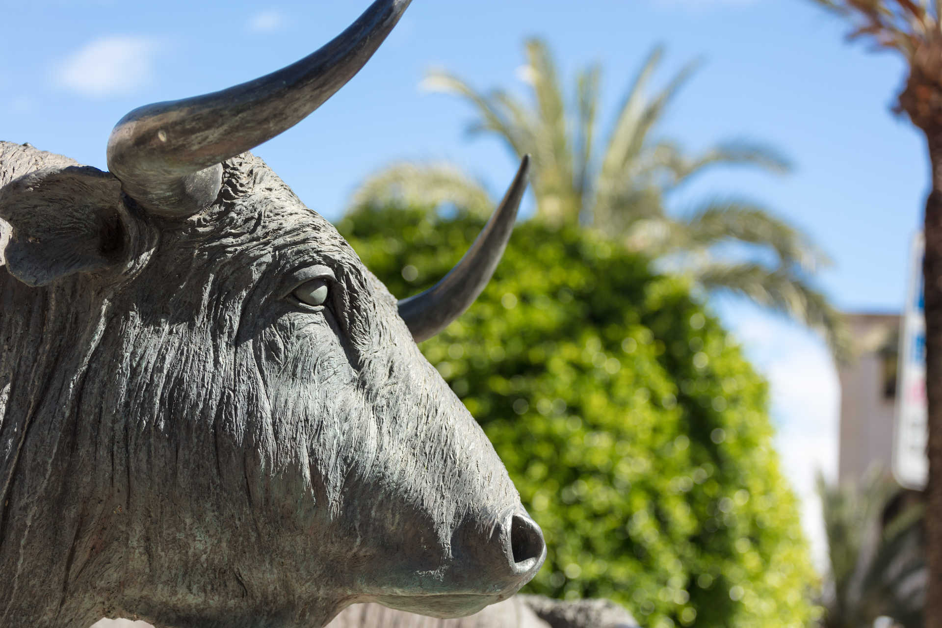 MUSEO TAURINO