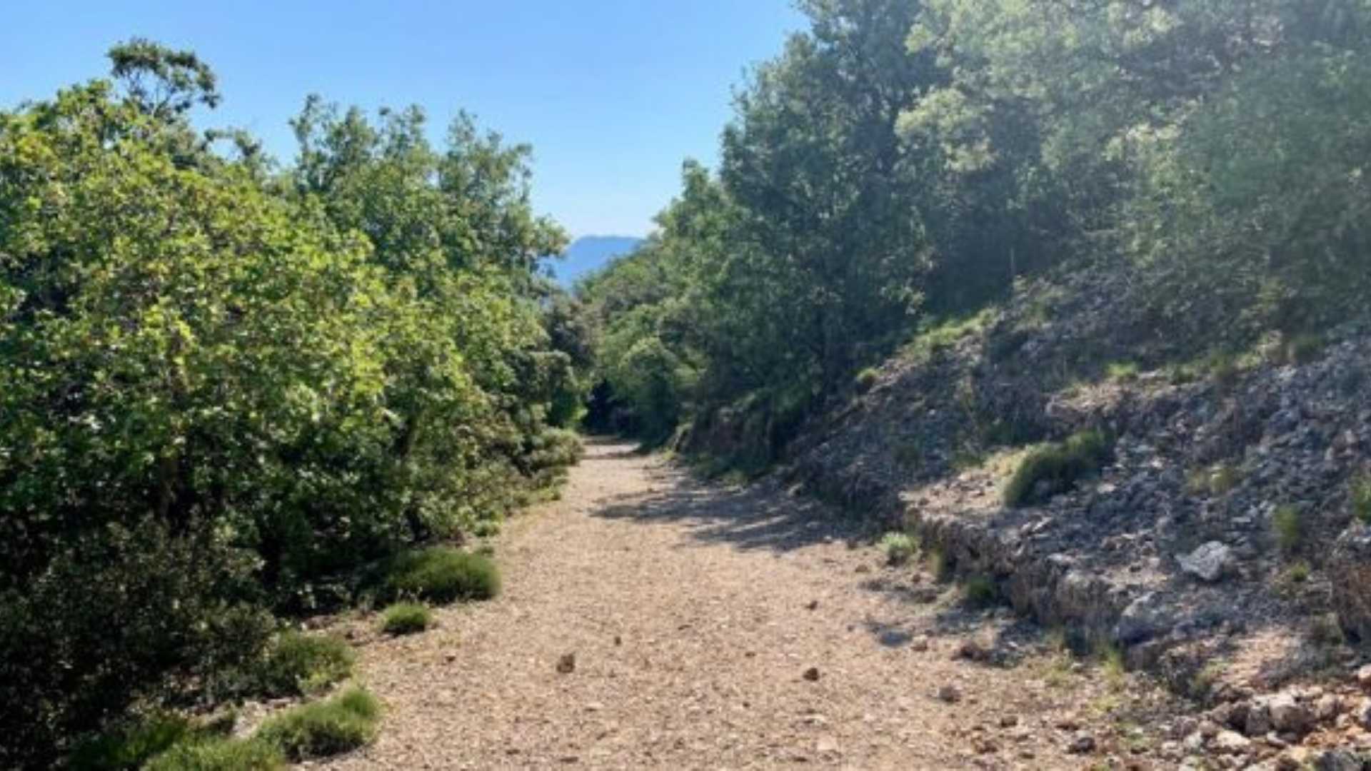 RUTA CIRCULAR EL MENEJADOR – PARC NATURAL DEL CARRASCAR DE LA FONT ROJA.