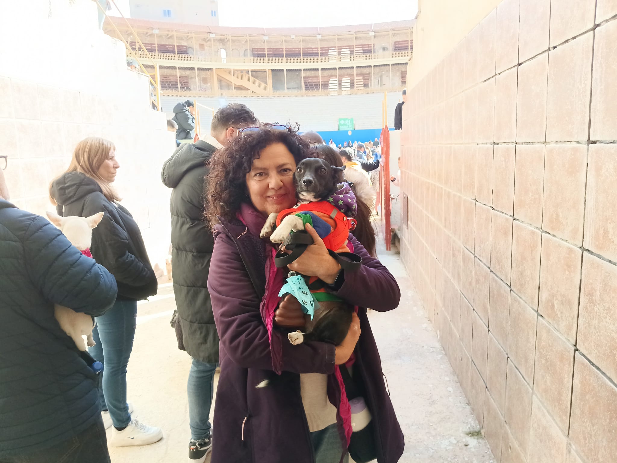 Porrate de San Antón de Alicante 3