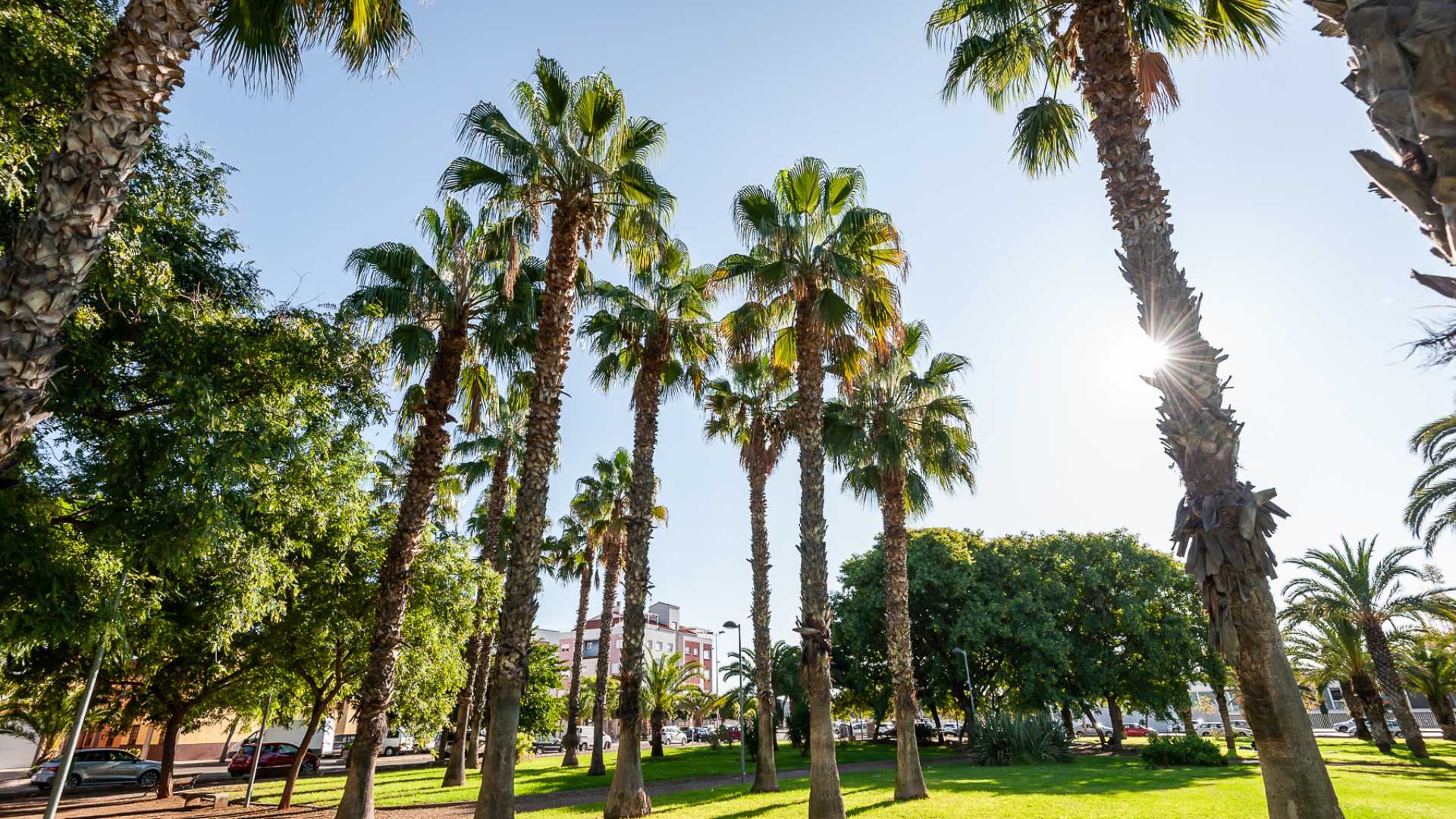 Meridiano Park,