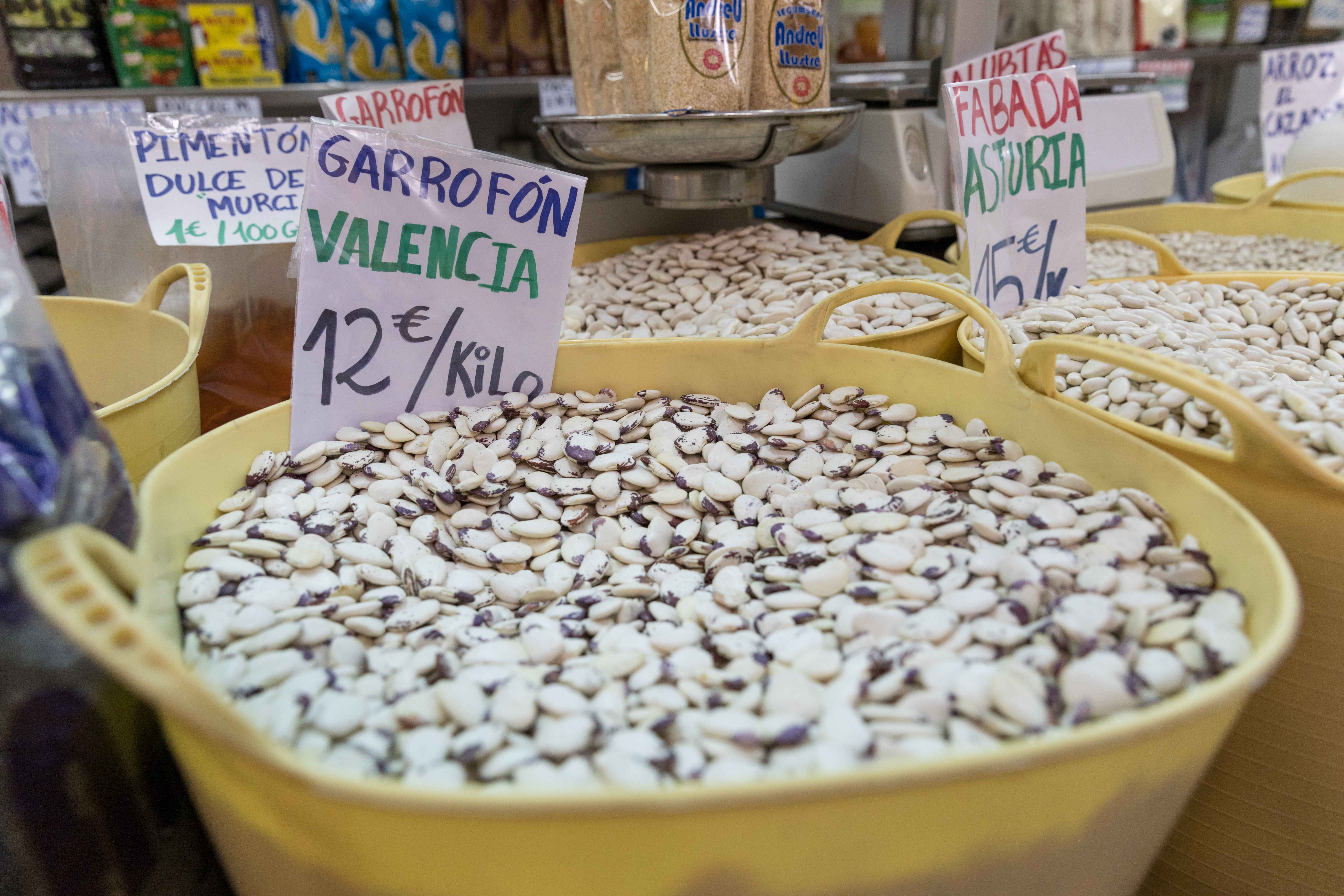 diversidad agraria valenciana,