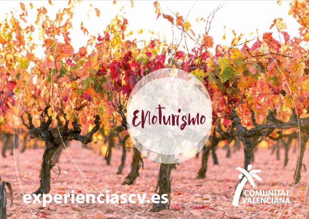 Enoturismo en la Comunitat Valenciana. ExperienciasCV