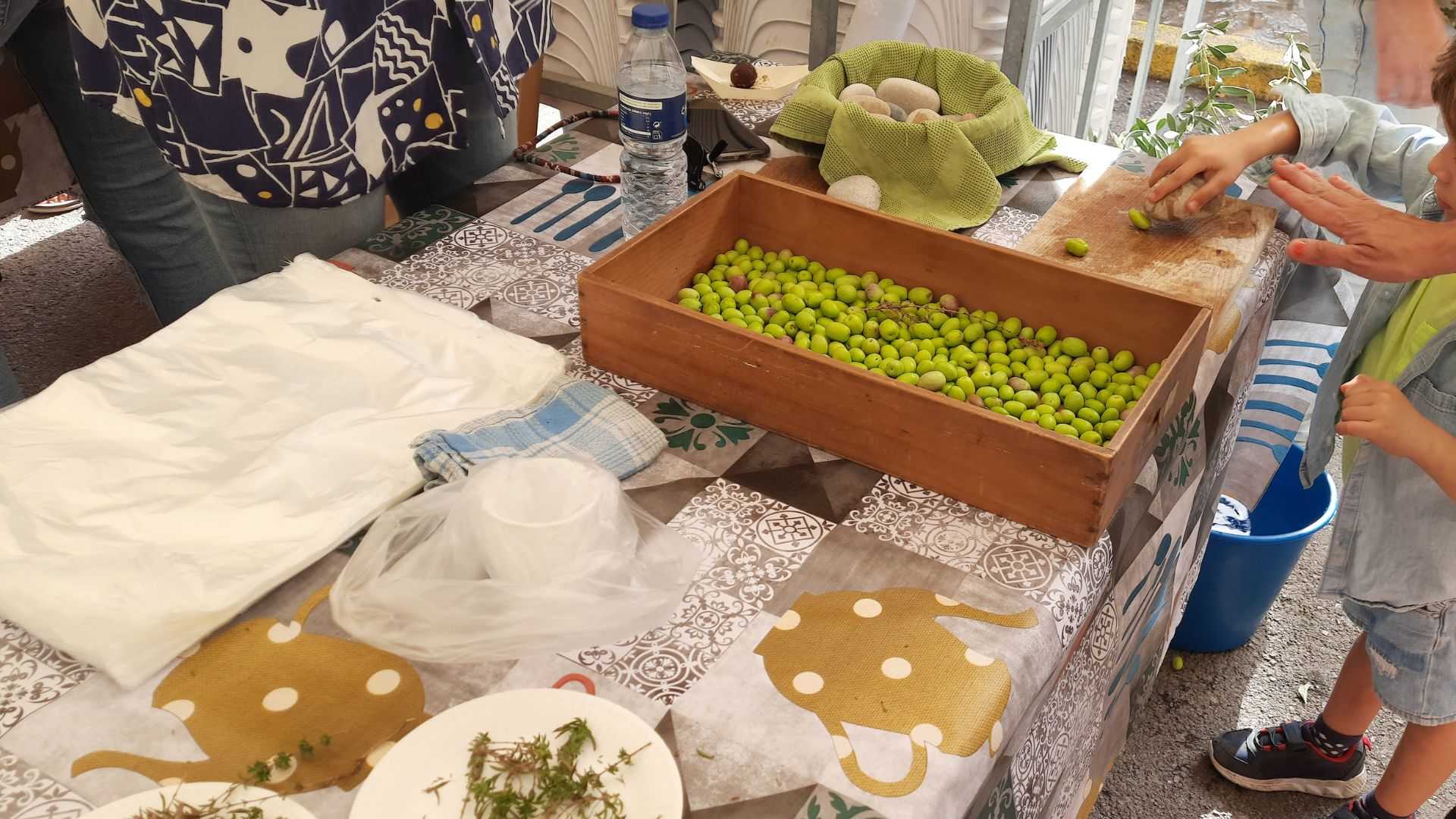 Jornadas de la oliva partida i la algarroba.