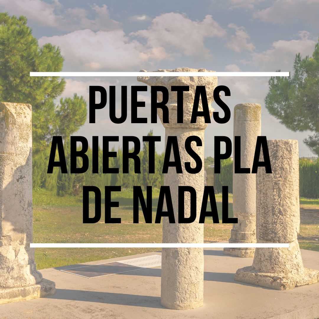 Jornadas de Puertas Abiertas Yacimiento Visigodo de Pla de Nadal