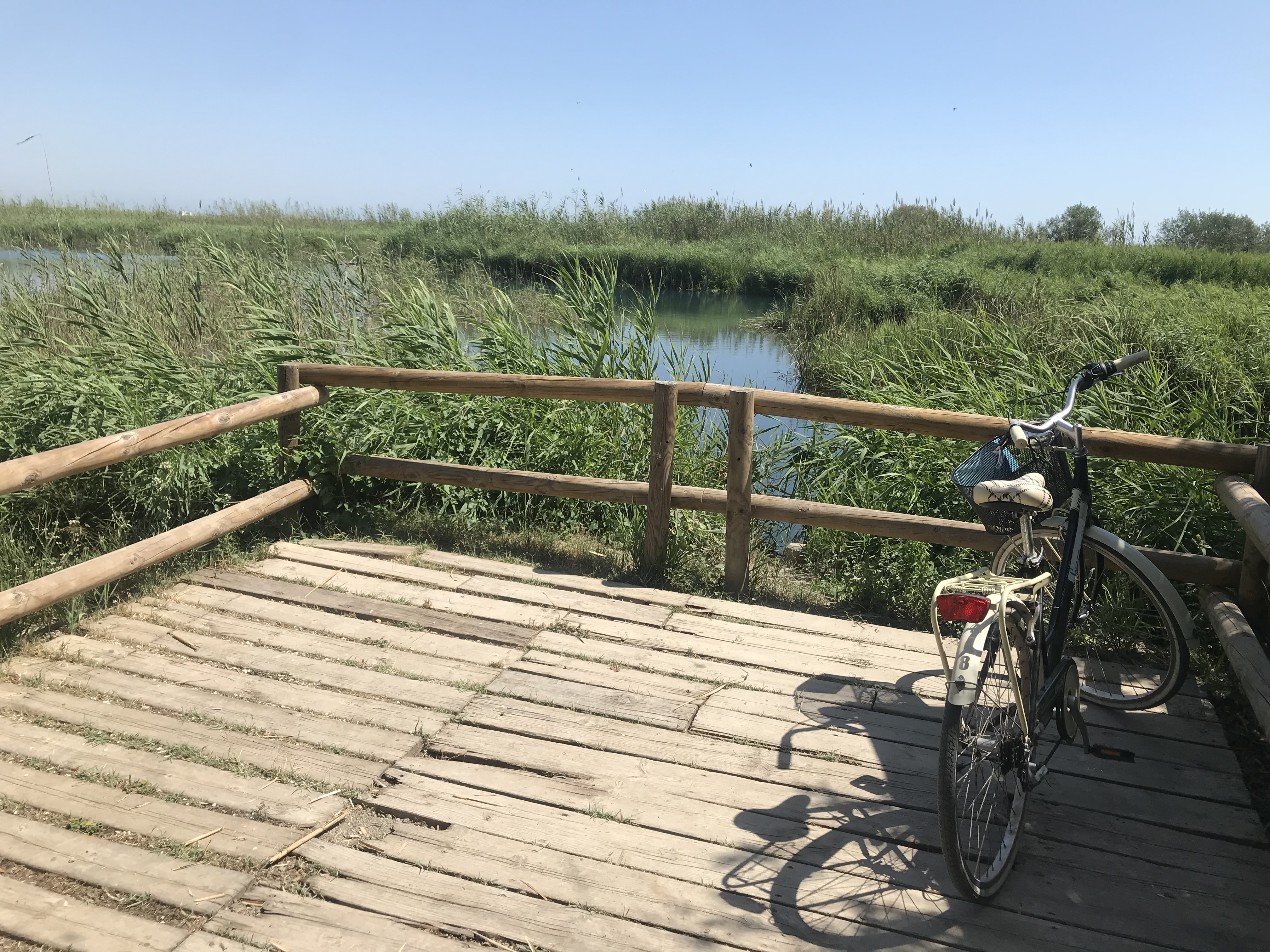 El Ullal de Baldoví