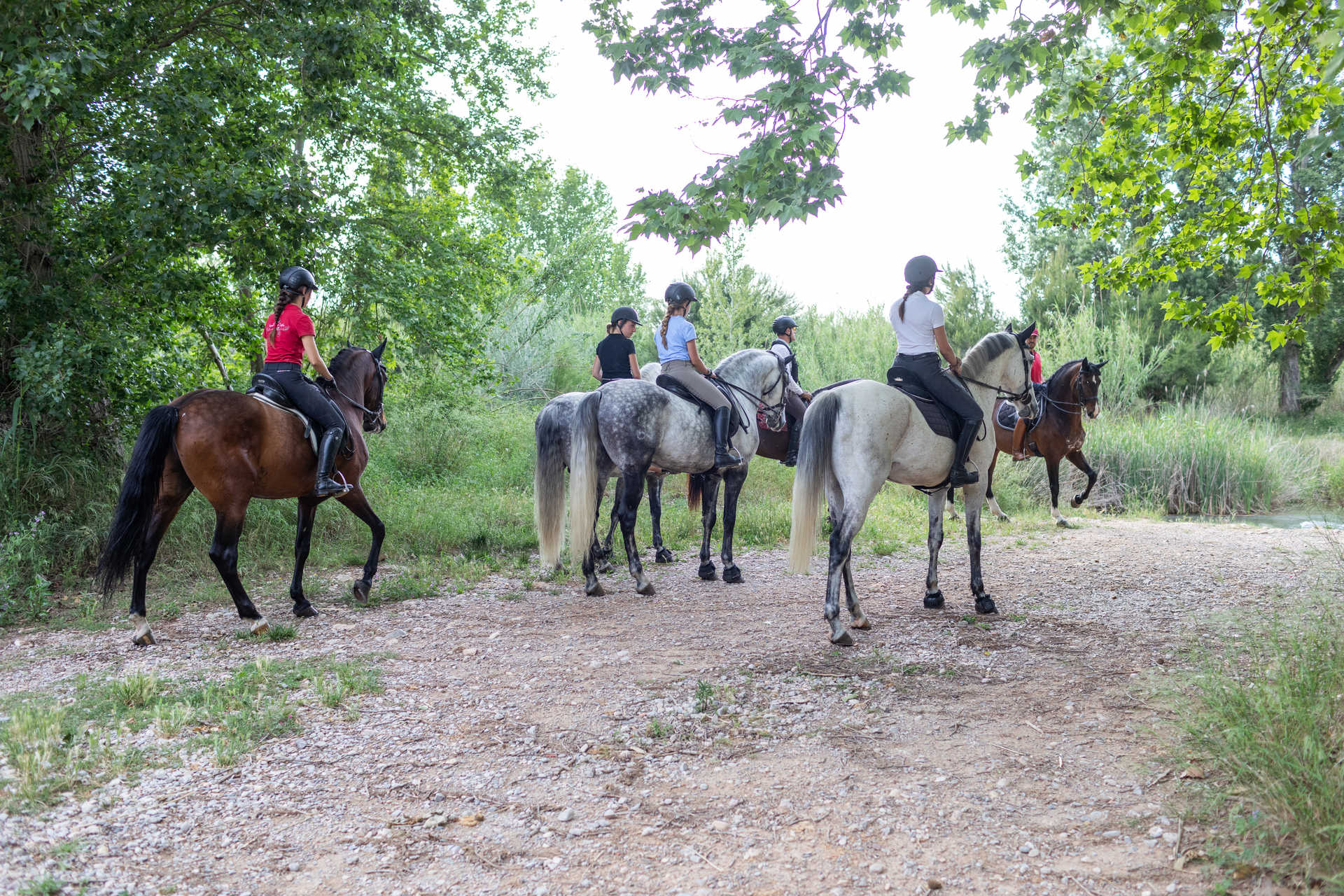 equitation comunitat valenciana