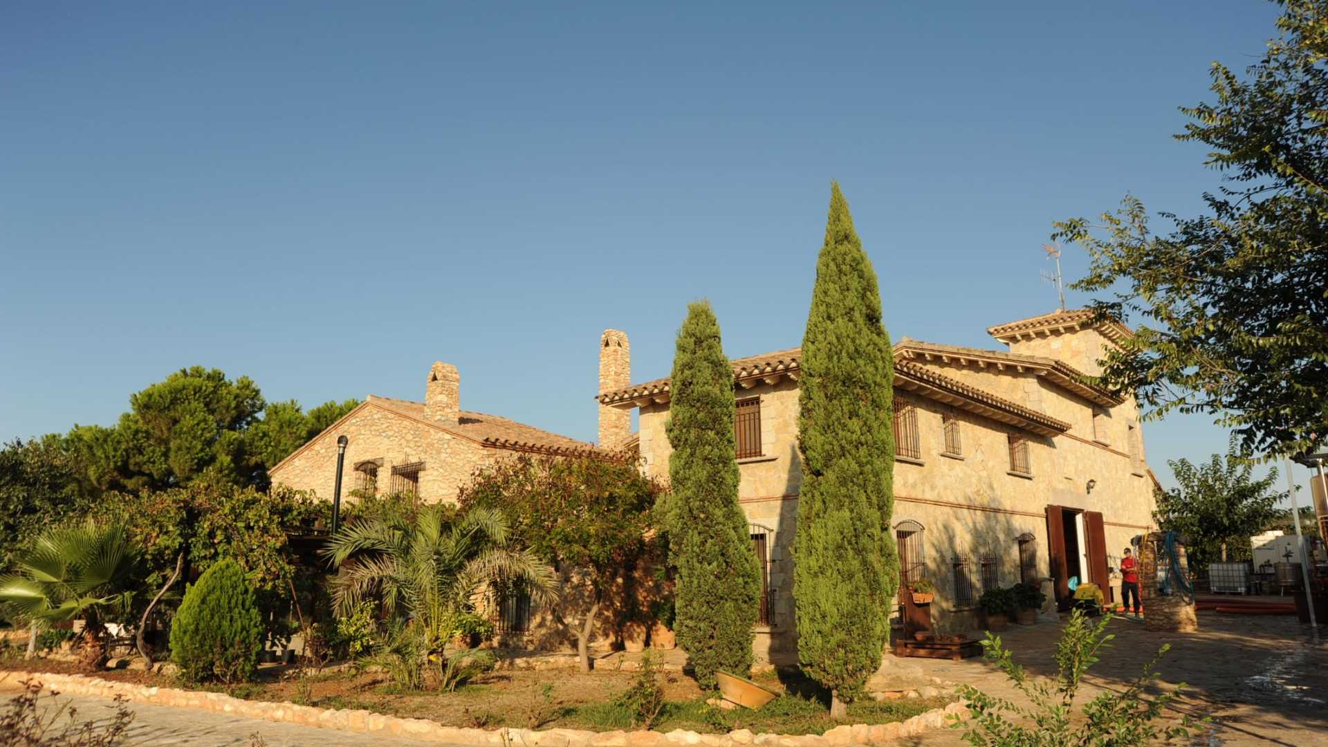 wineries to visit in castellon