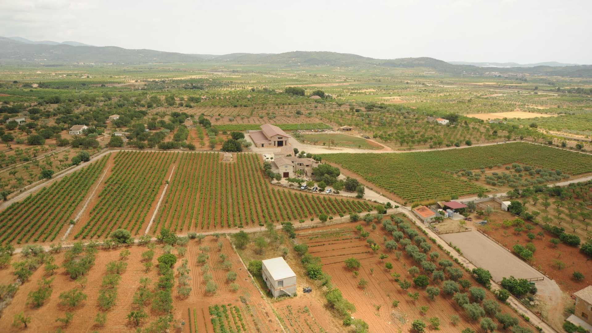 bodegas les useres