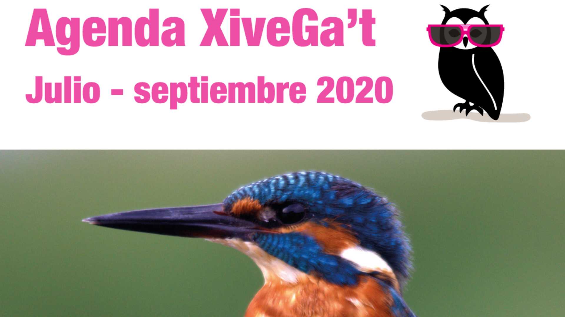 Agenda Xivega't