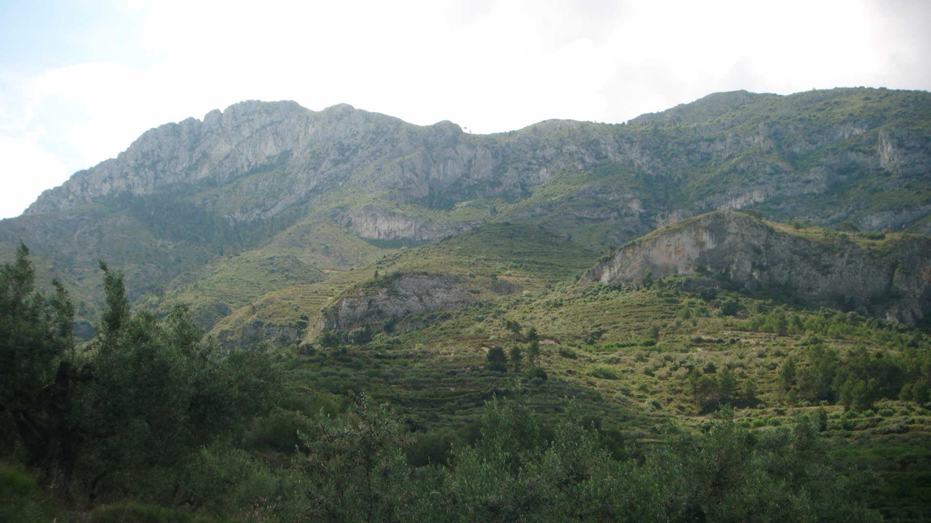 Beniatjar