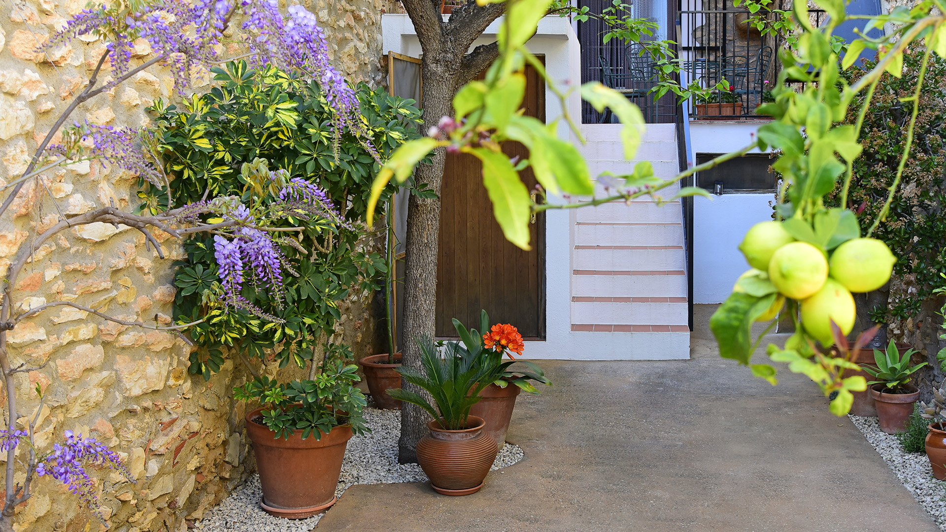 San Jorge La Garrofera