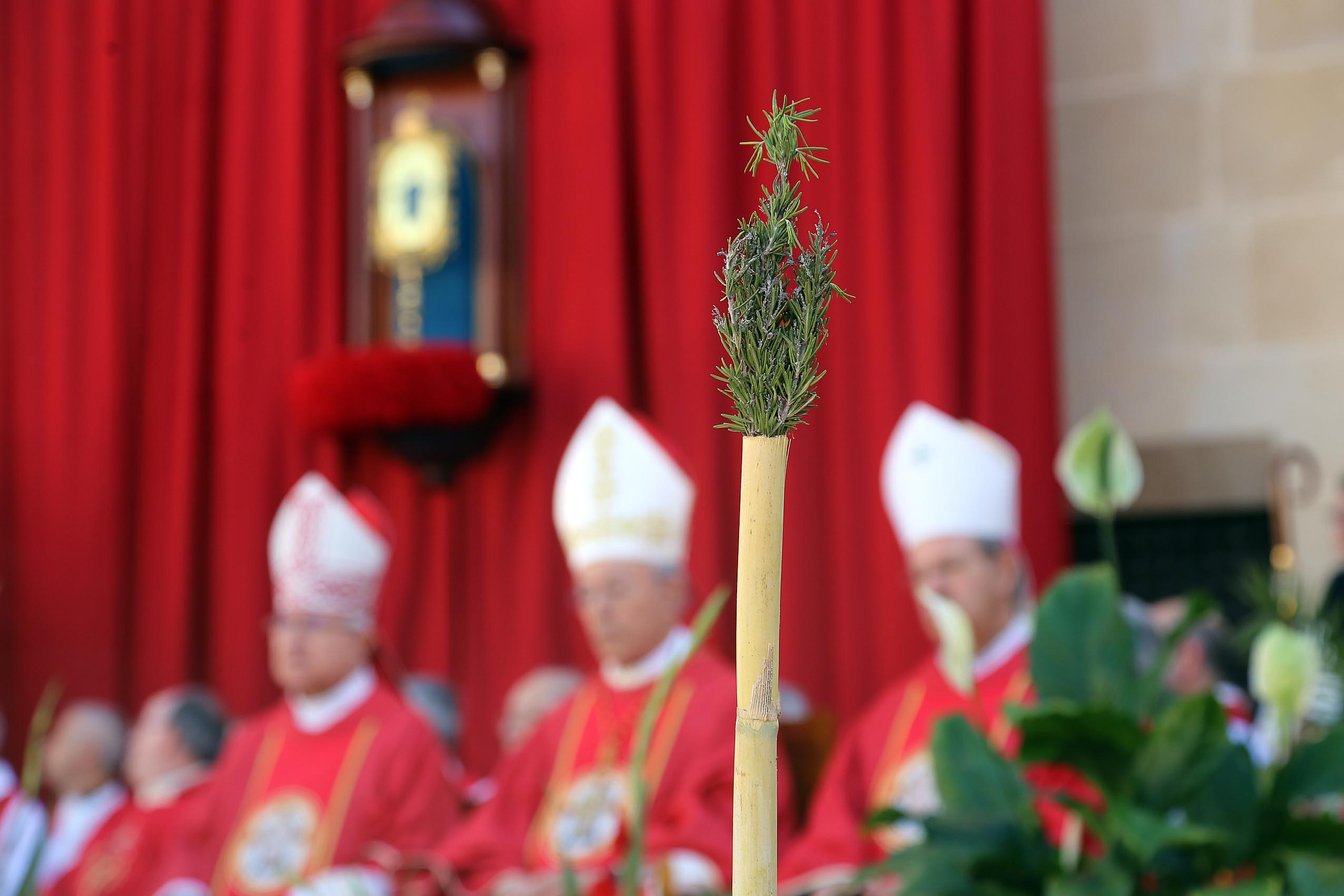 La Romería de Santa Faz