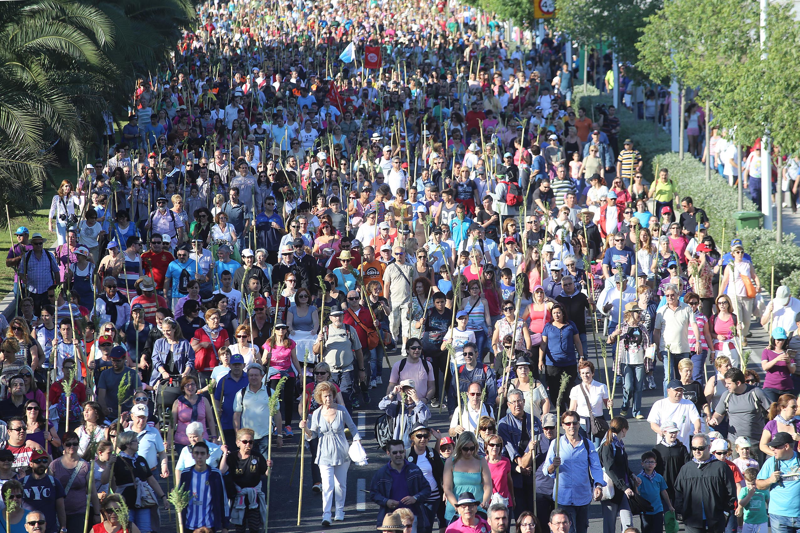 La Romería de Santa Faz