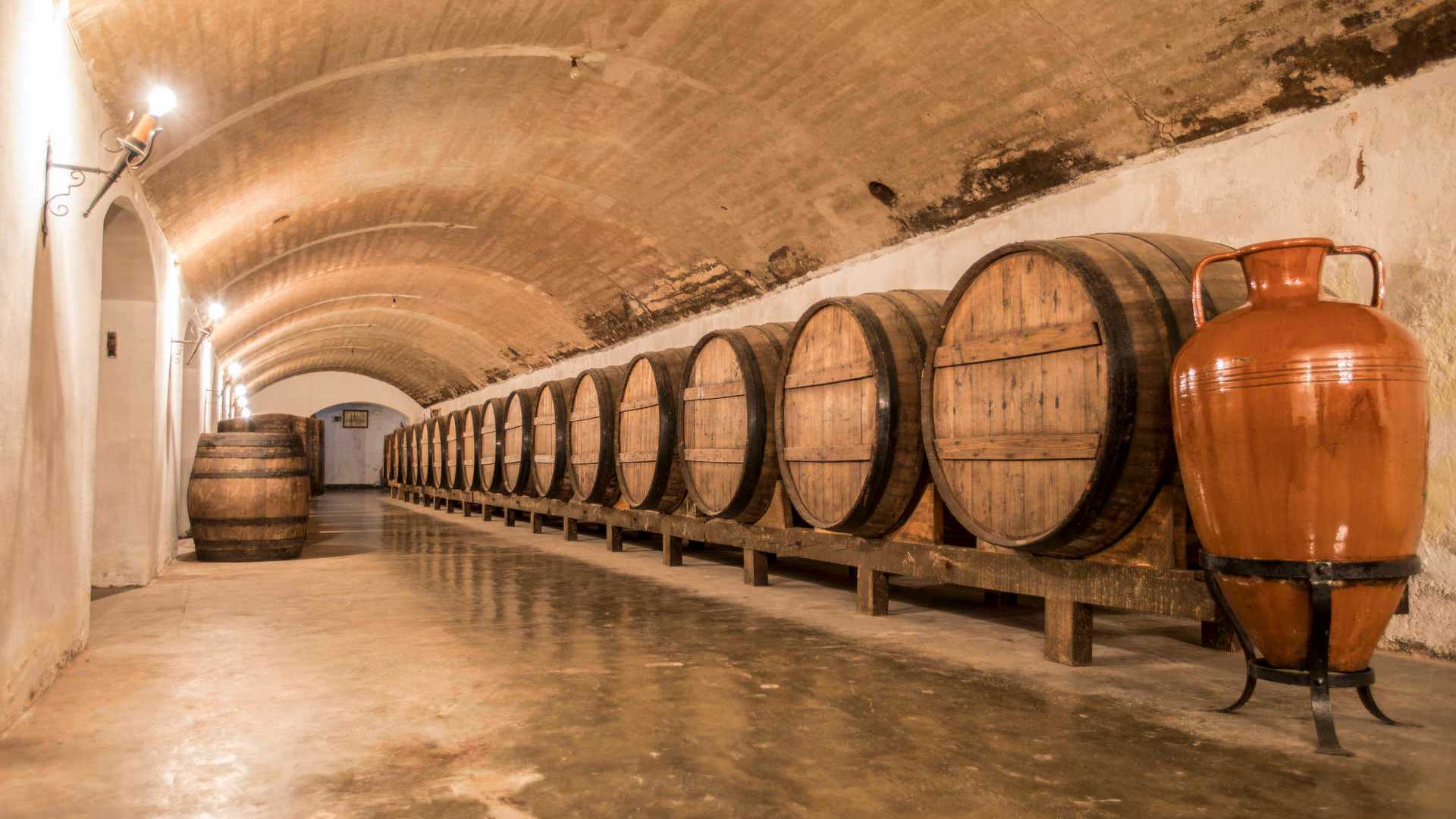 visitas museo bodegas carmelitano