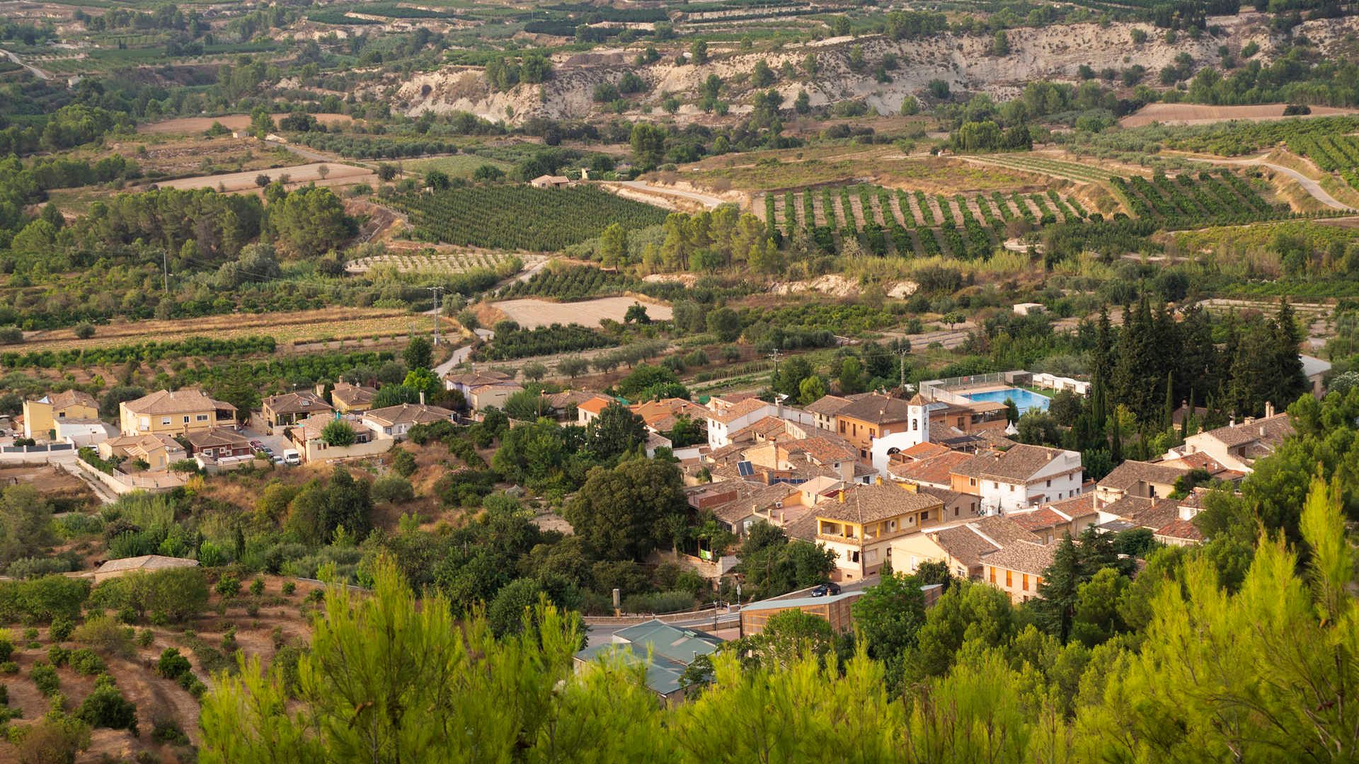 Carrícola