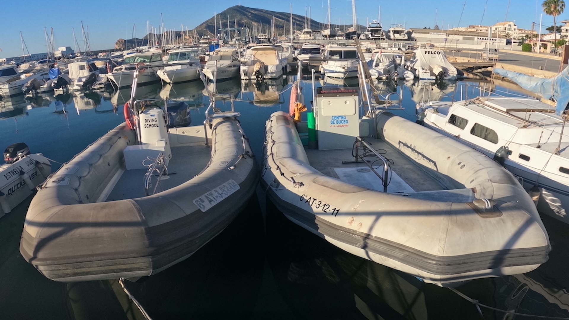 CELACANTO BUCEO ALTEA