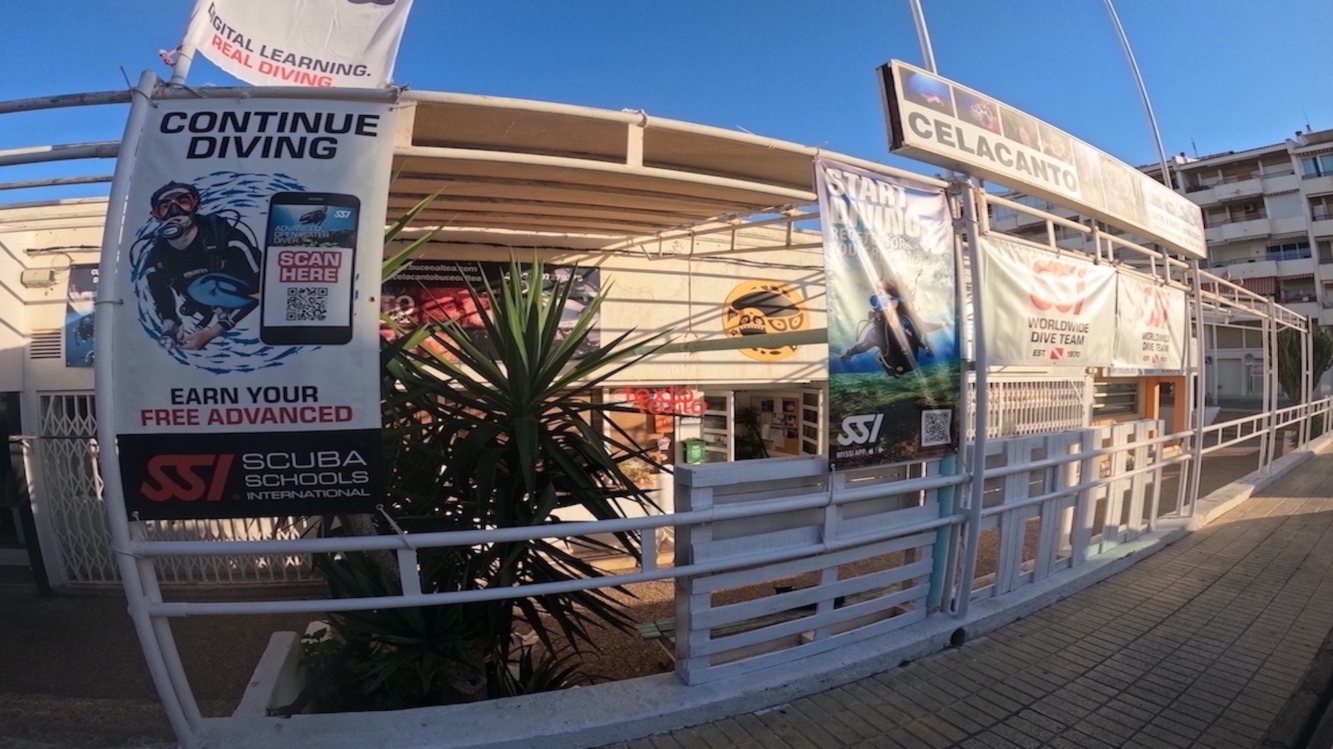 CELACANTO BUCEO ALTEA