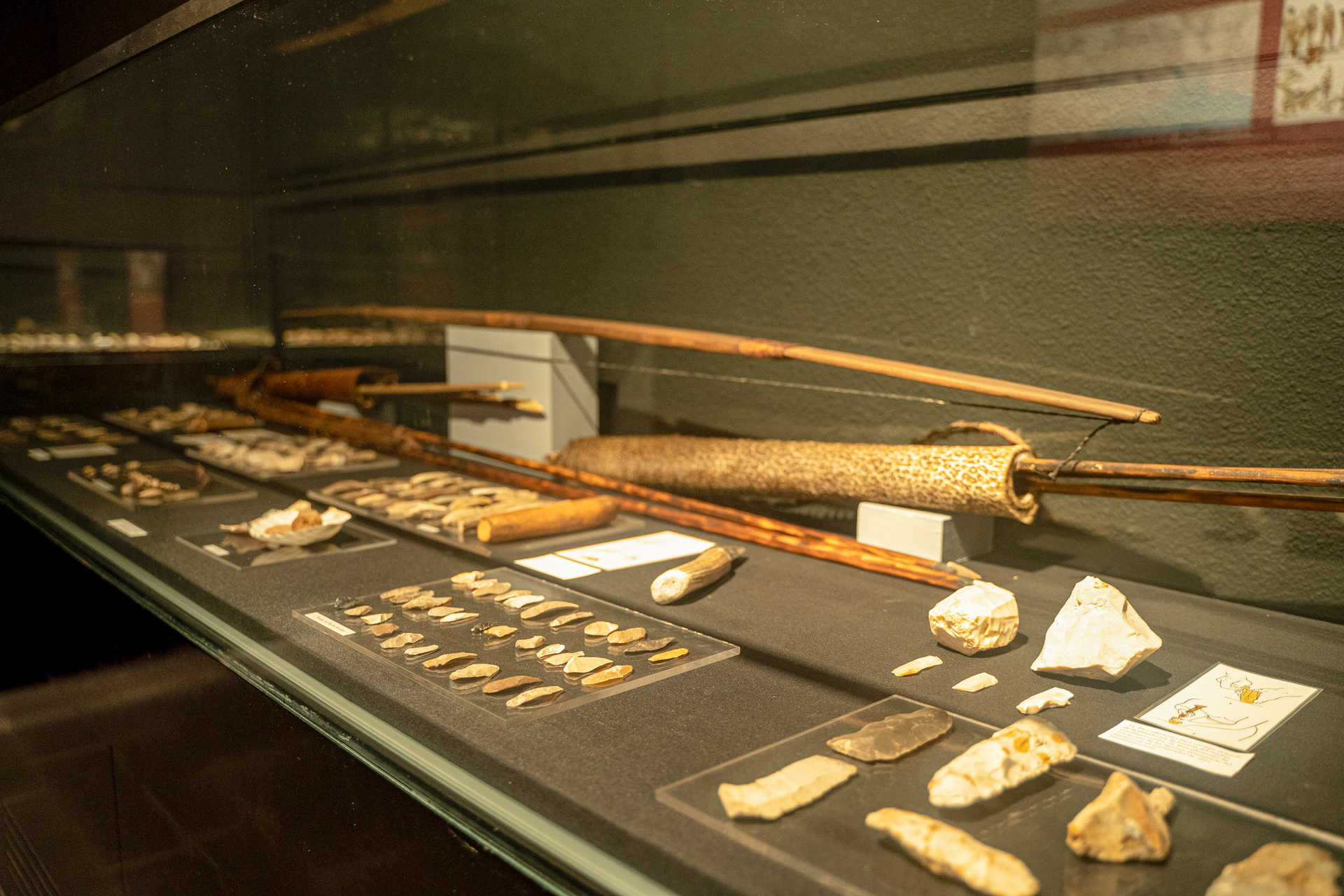 Museo Arqueológico y Paleontológico Municipal