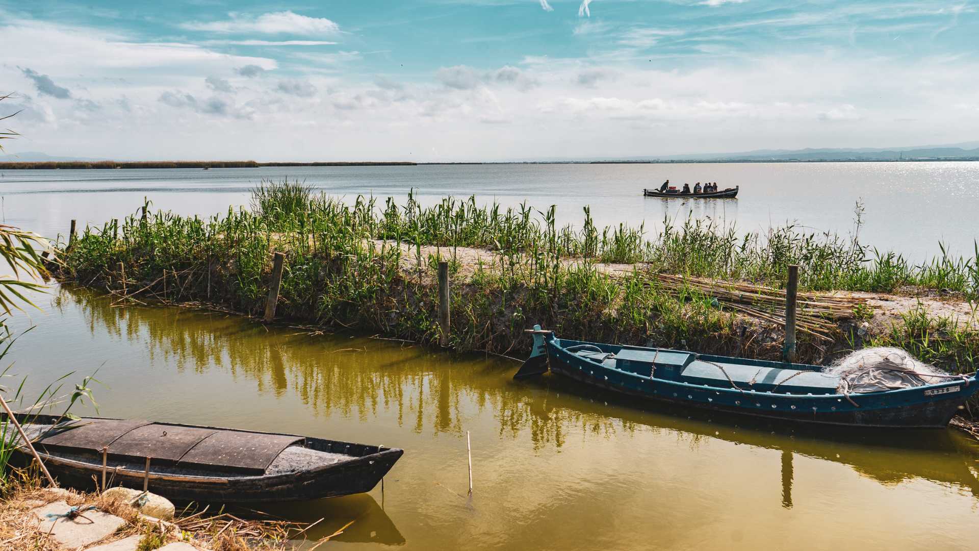 ALBUFERA PARC