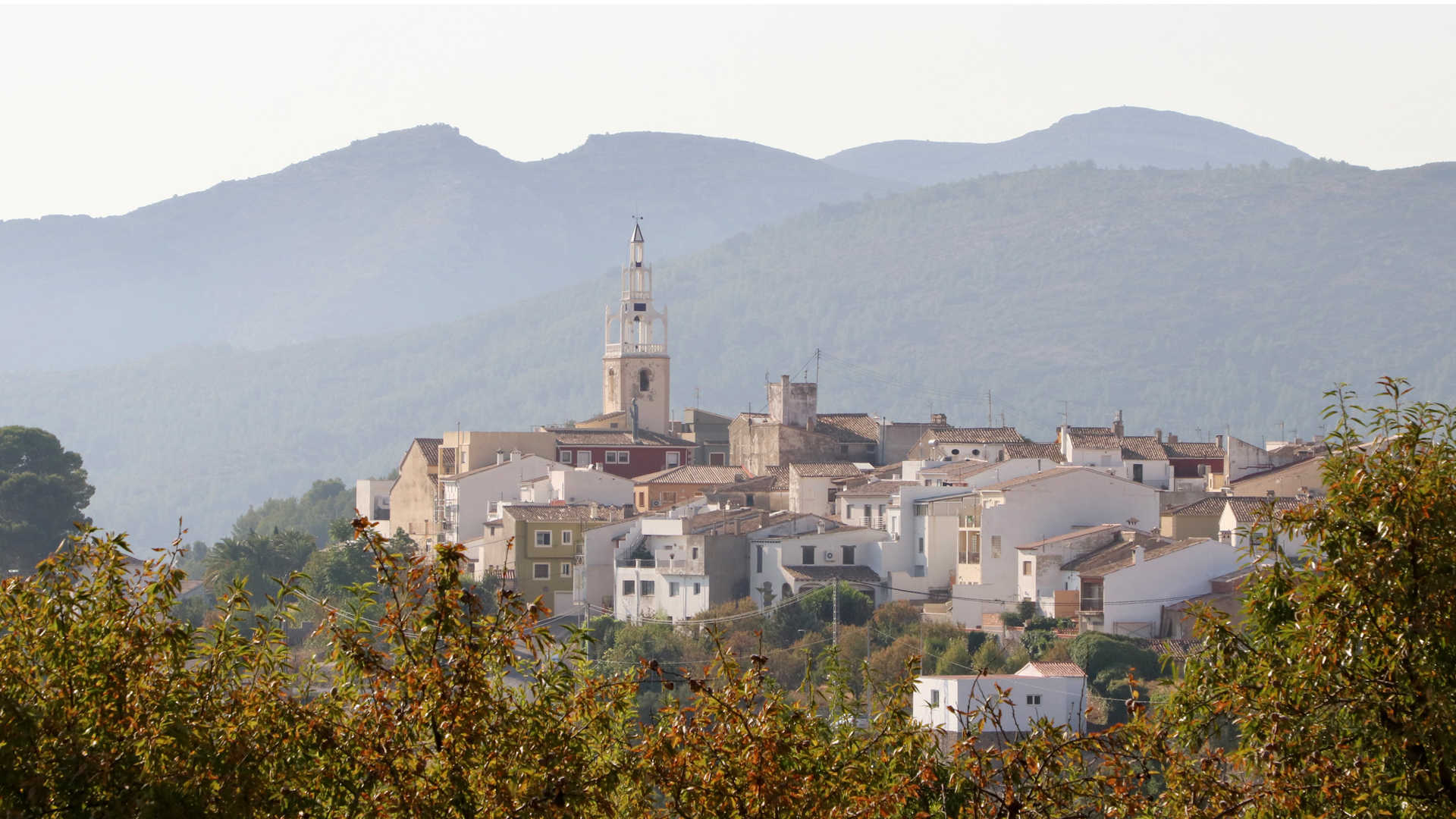 bodegas gutierrez de la vega