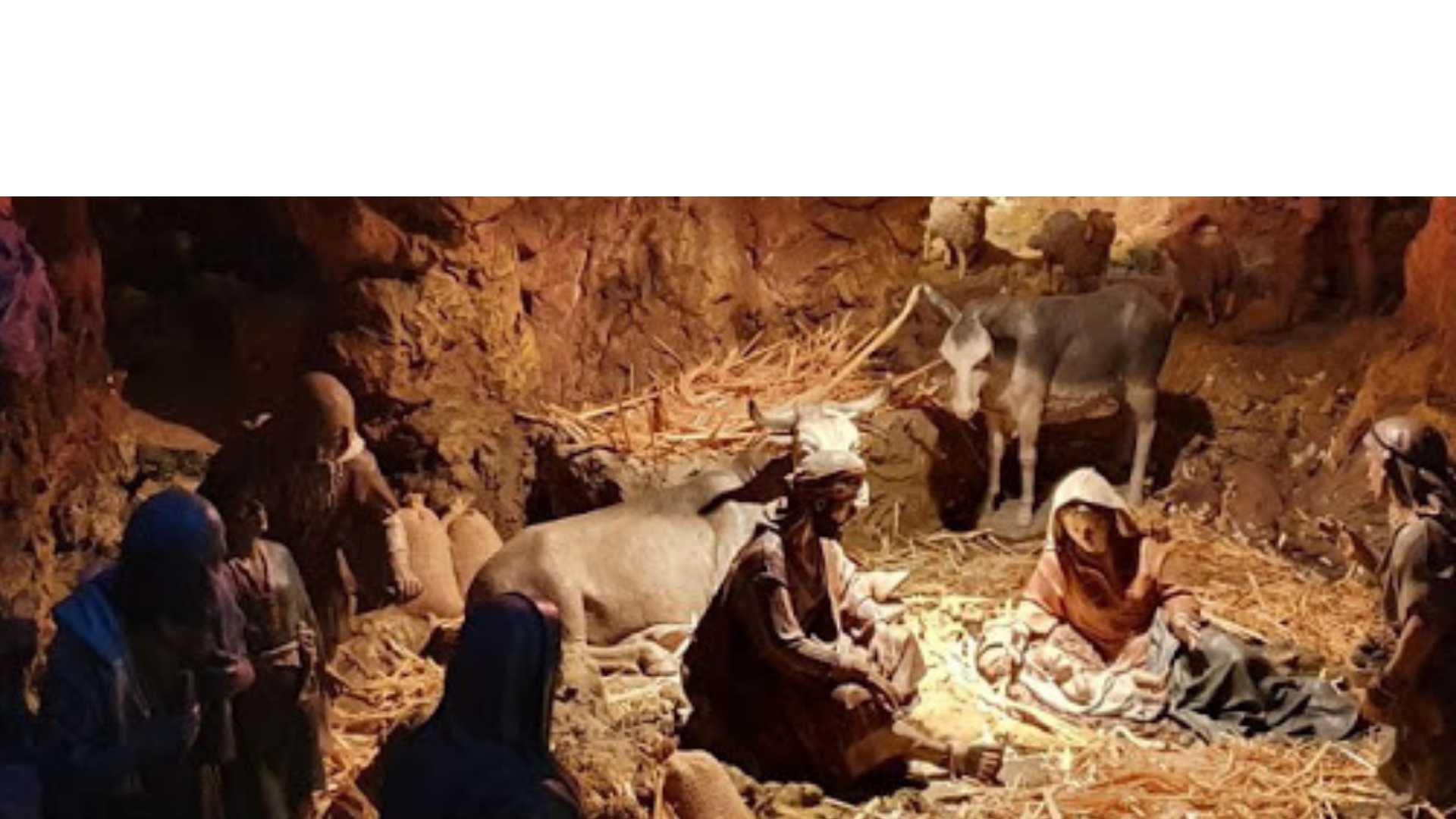 Christmas exhibition